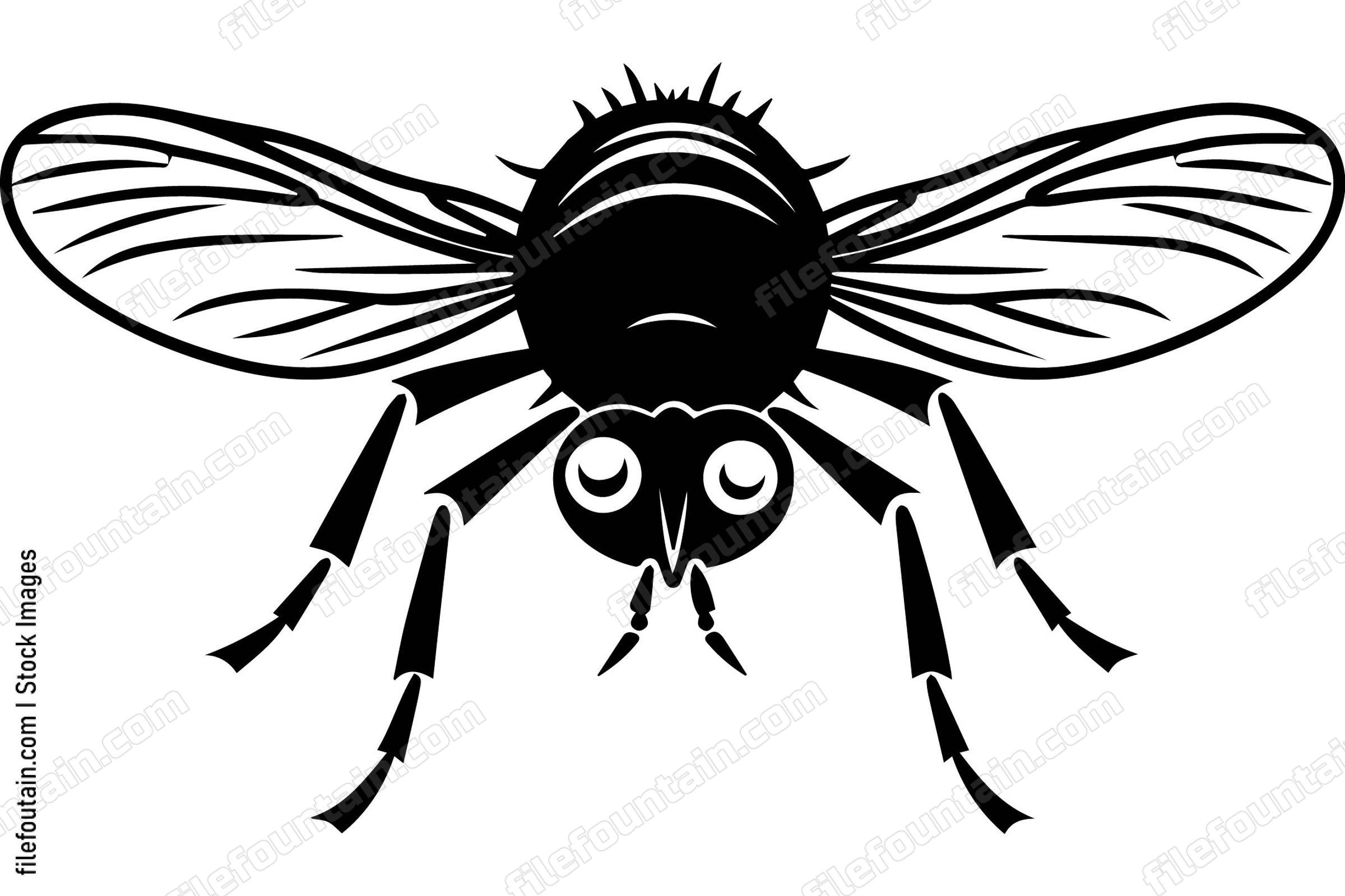 Housefly