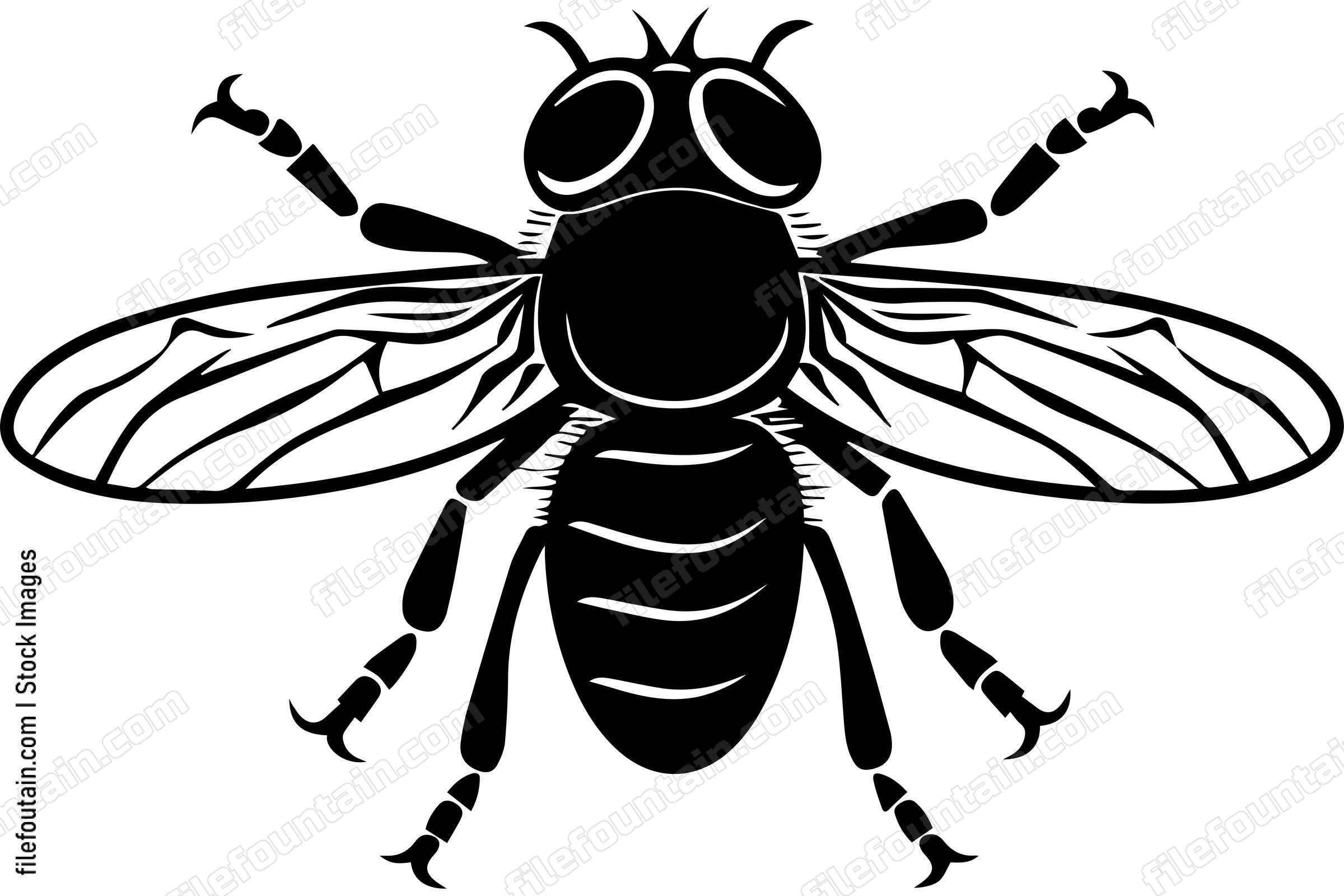 Housefly