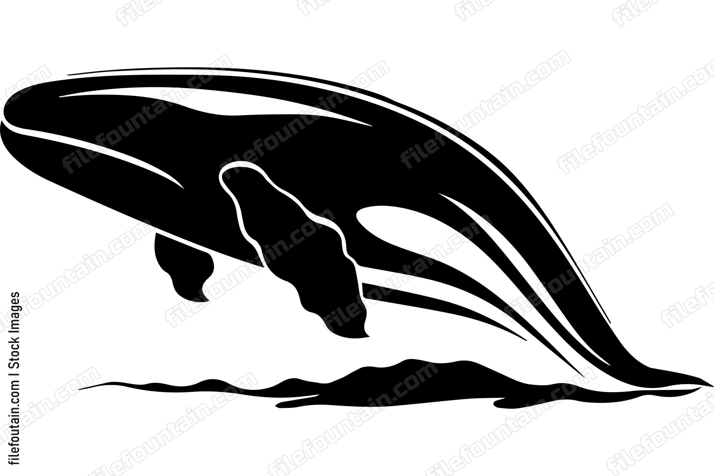 Humpback Whale