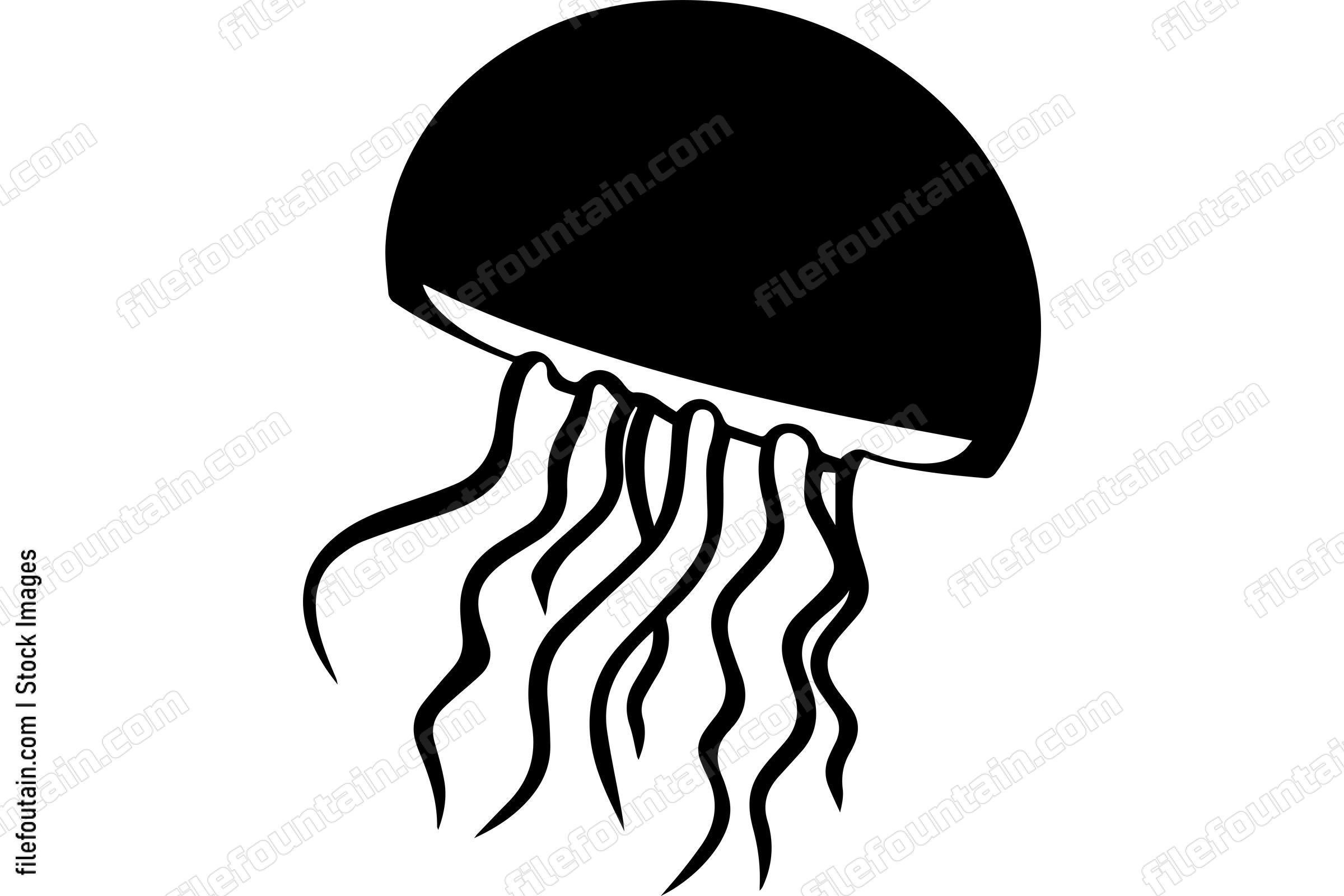 Jellyfish