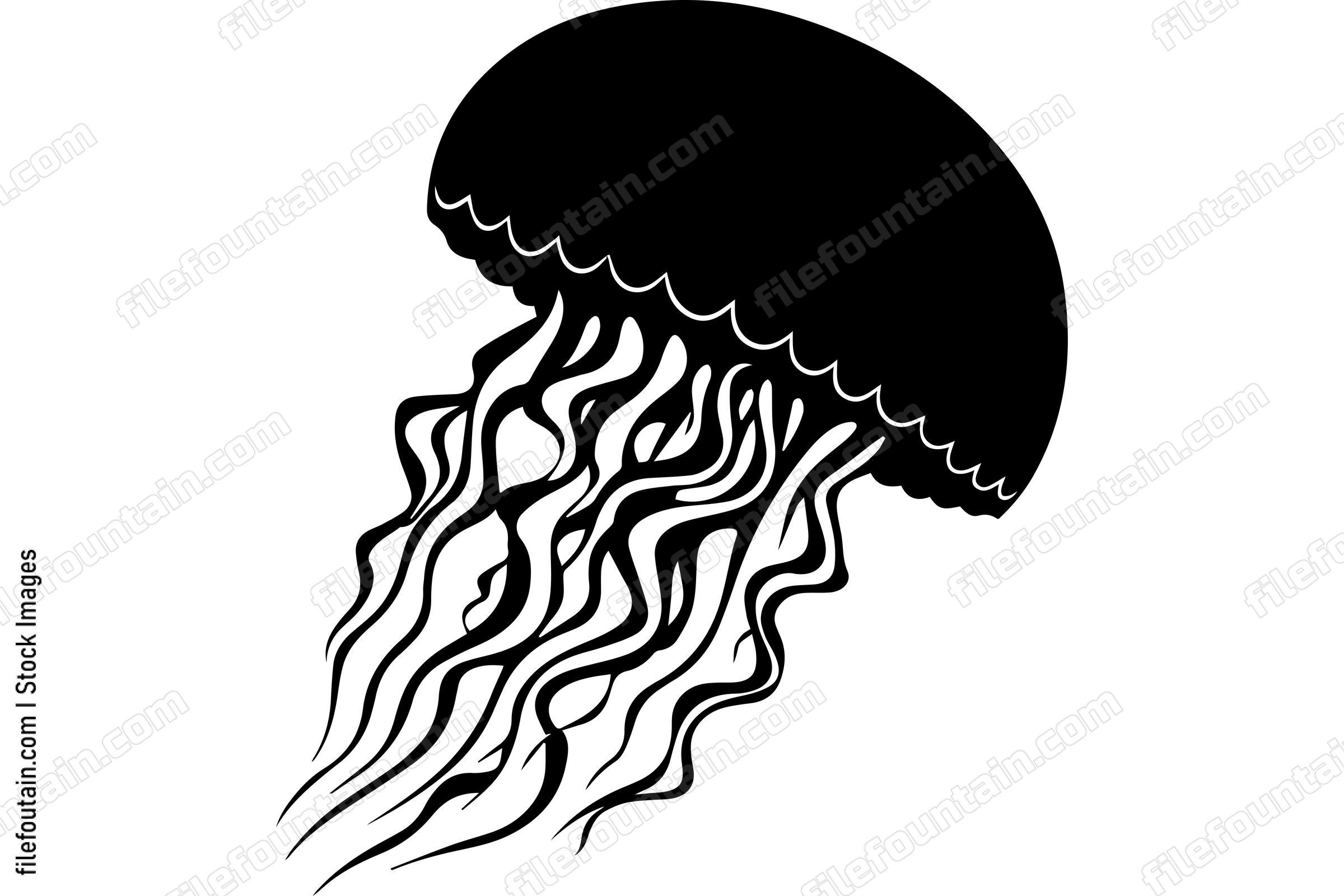 Jellyfish