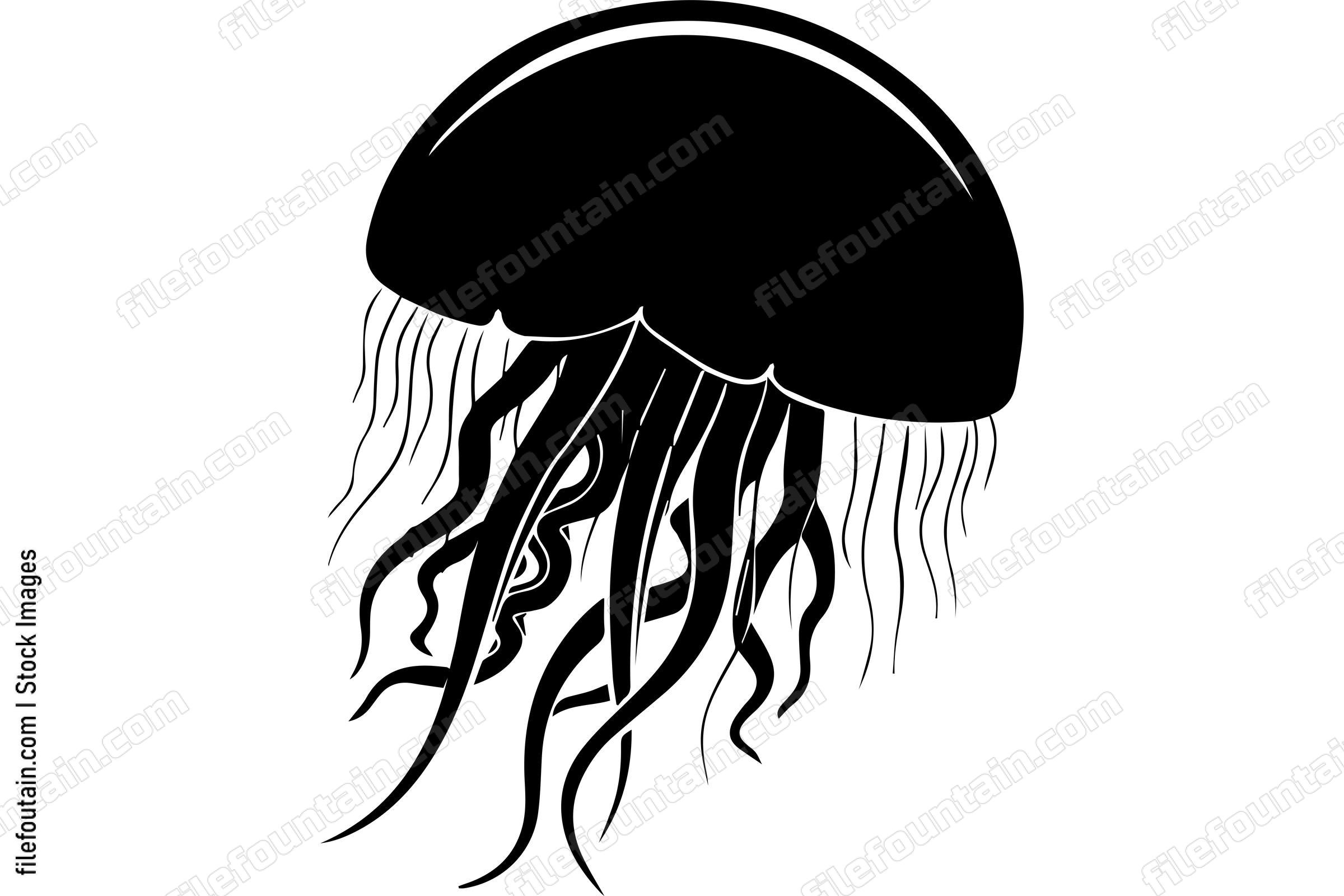 Jellyfish