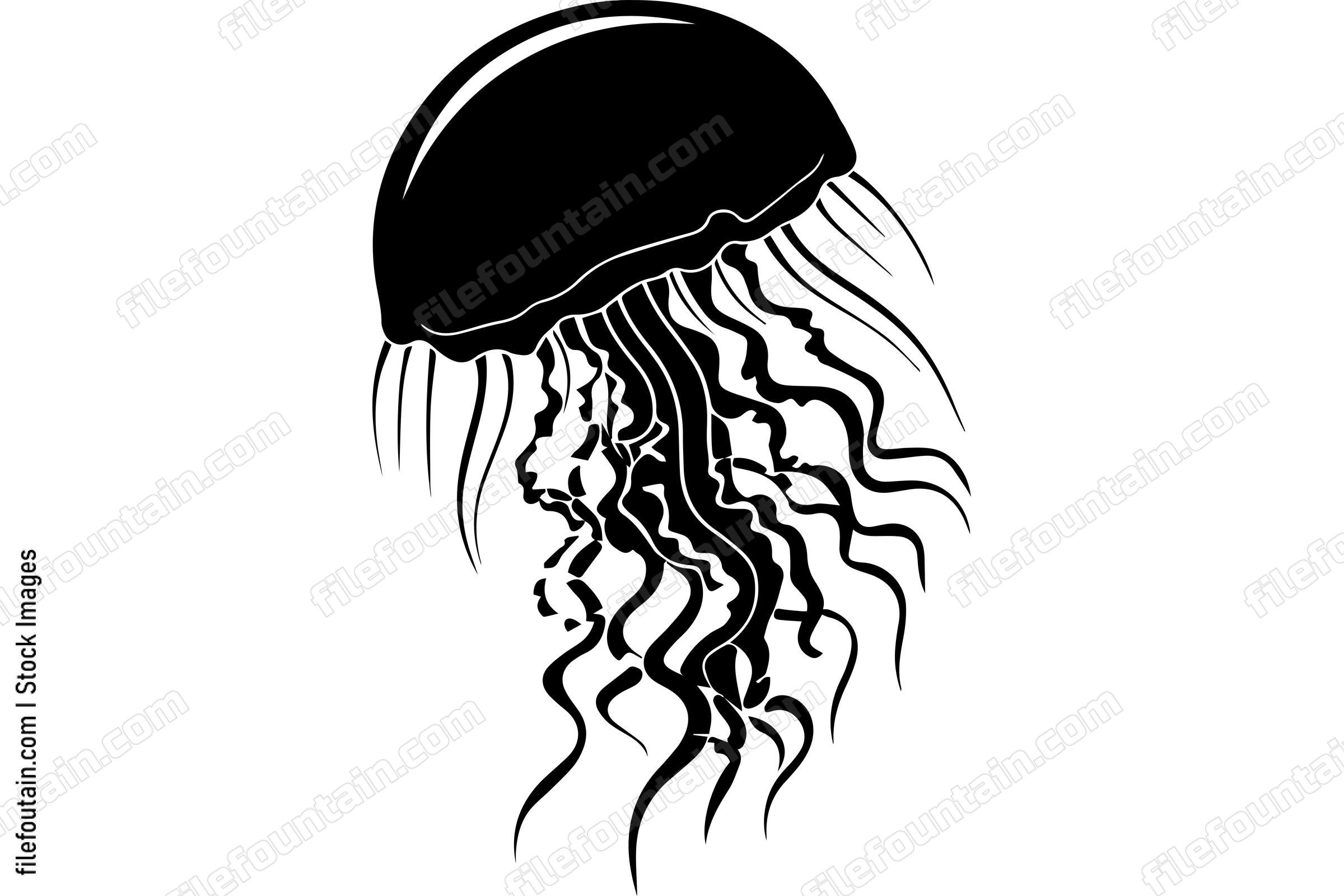 Jellyfish