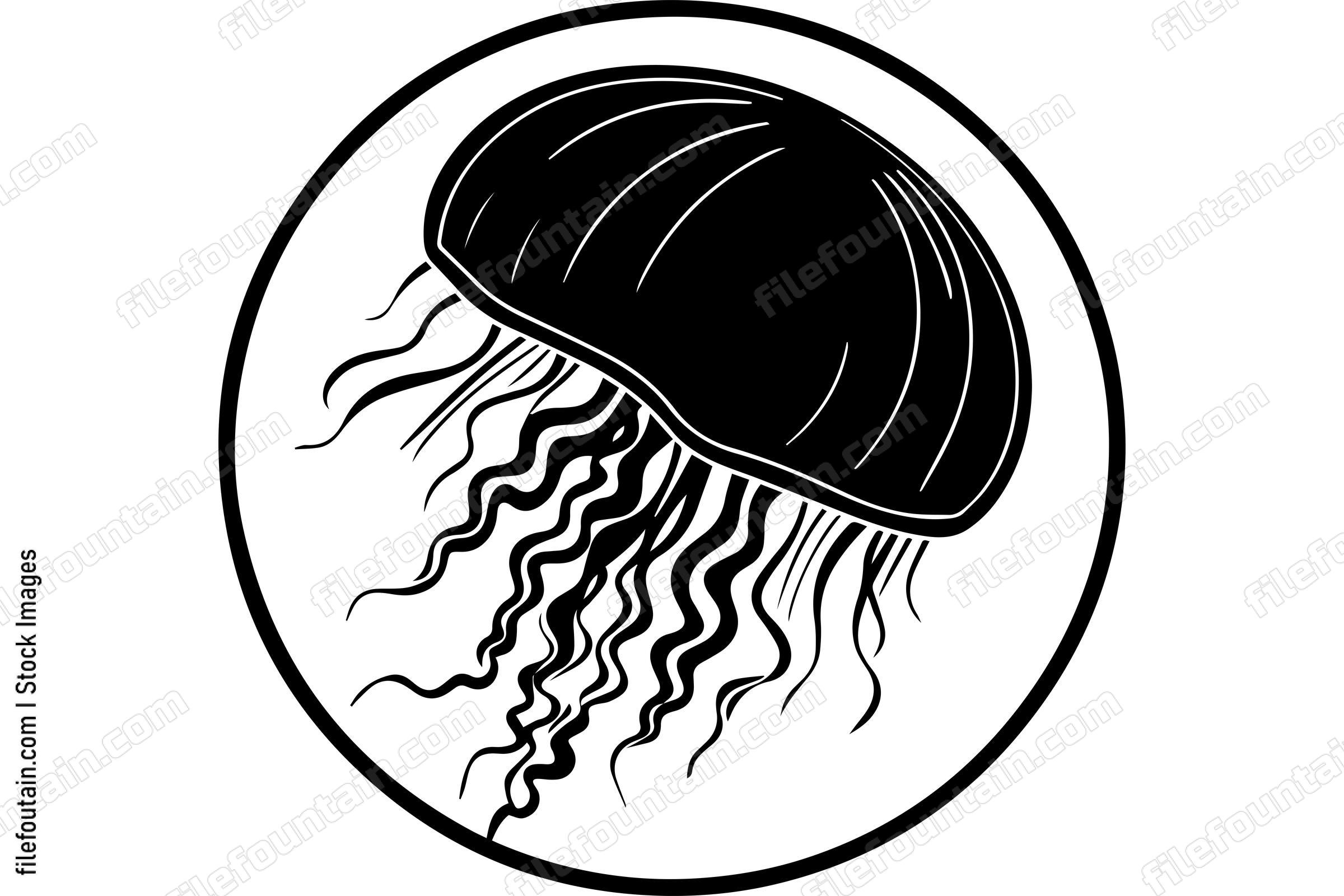 Jellyfish