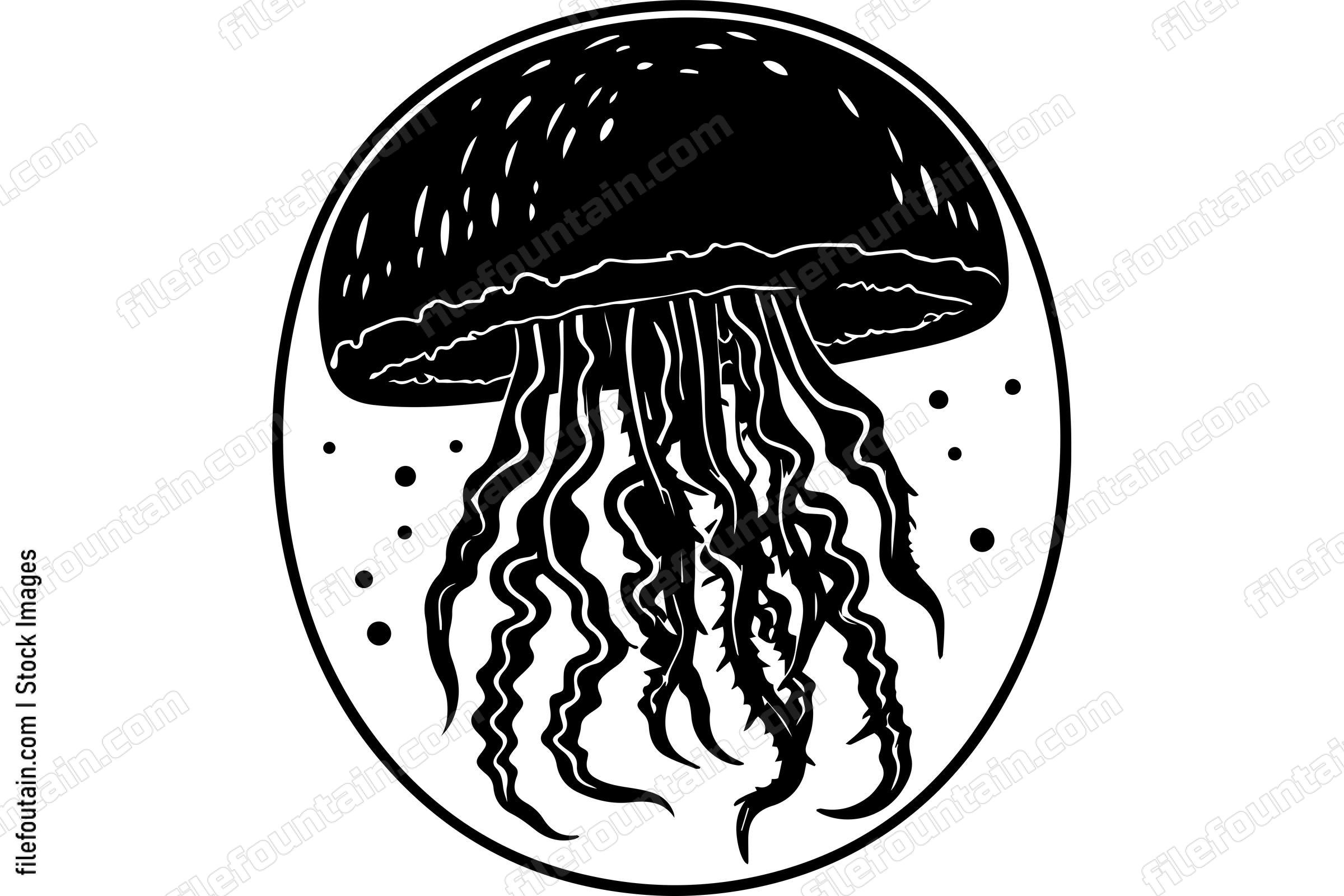 Jellyfish