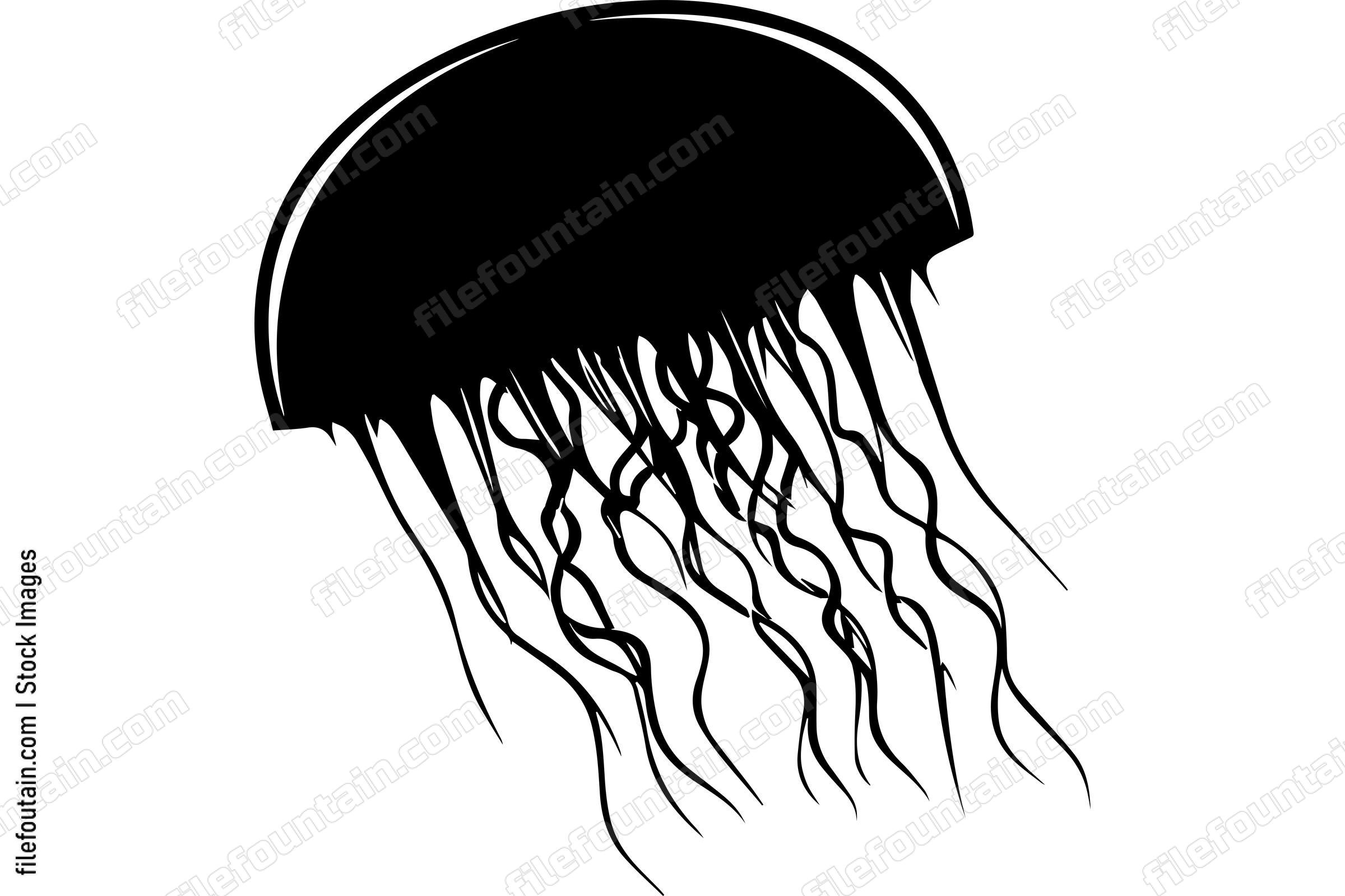 Jellyfish