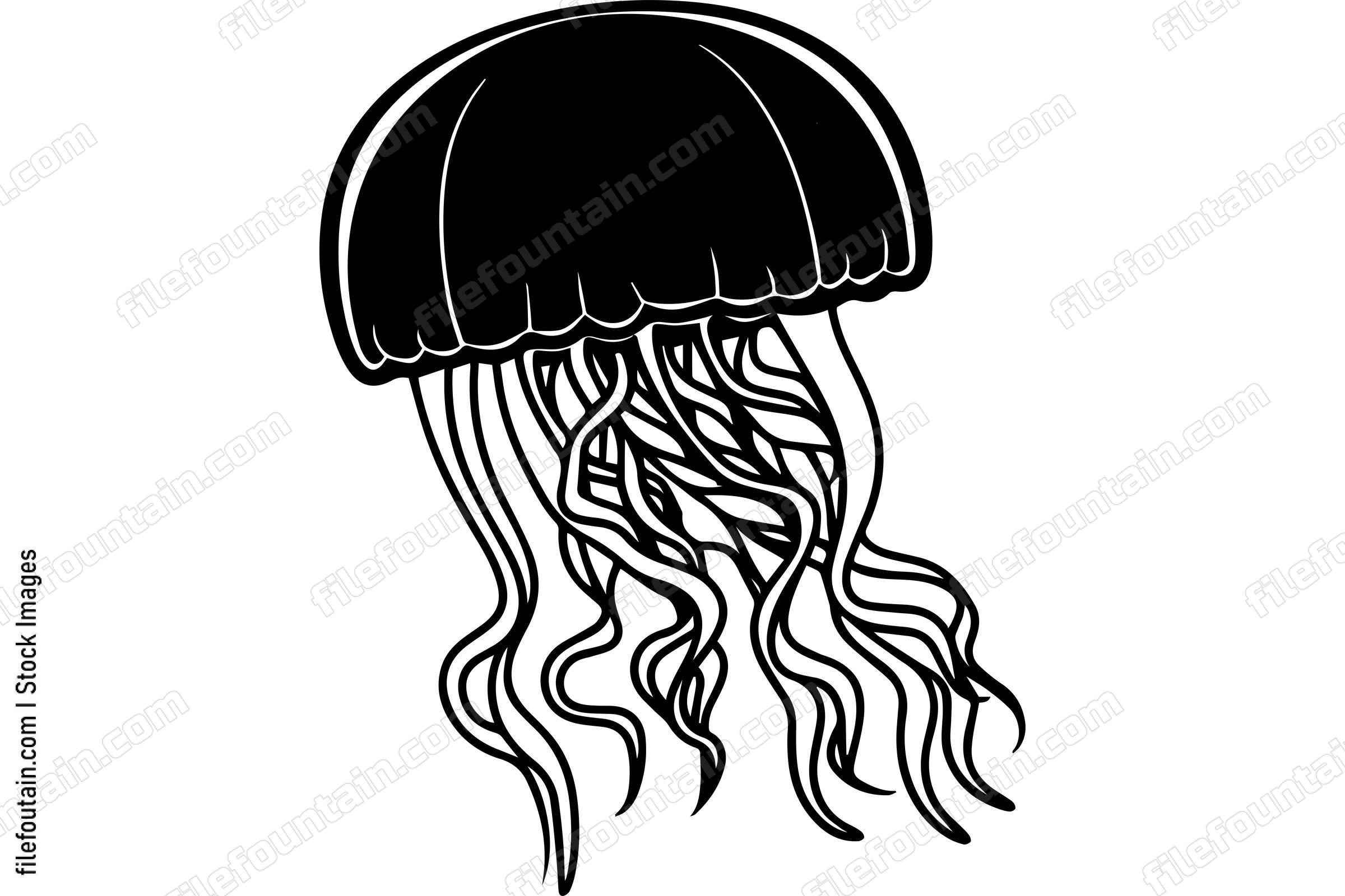 Jellyfish