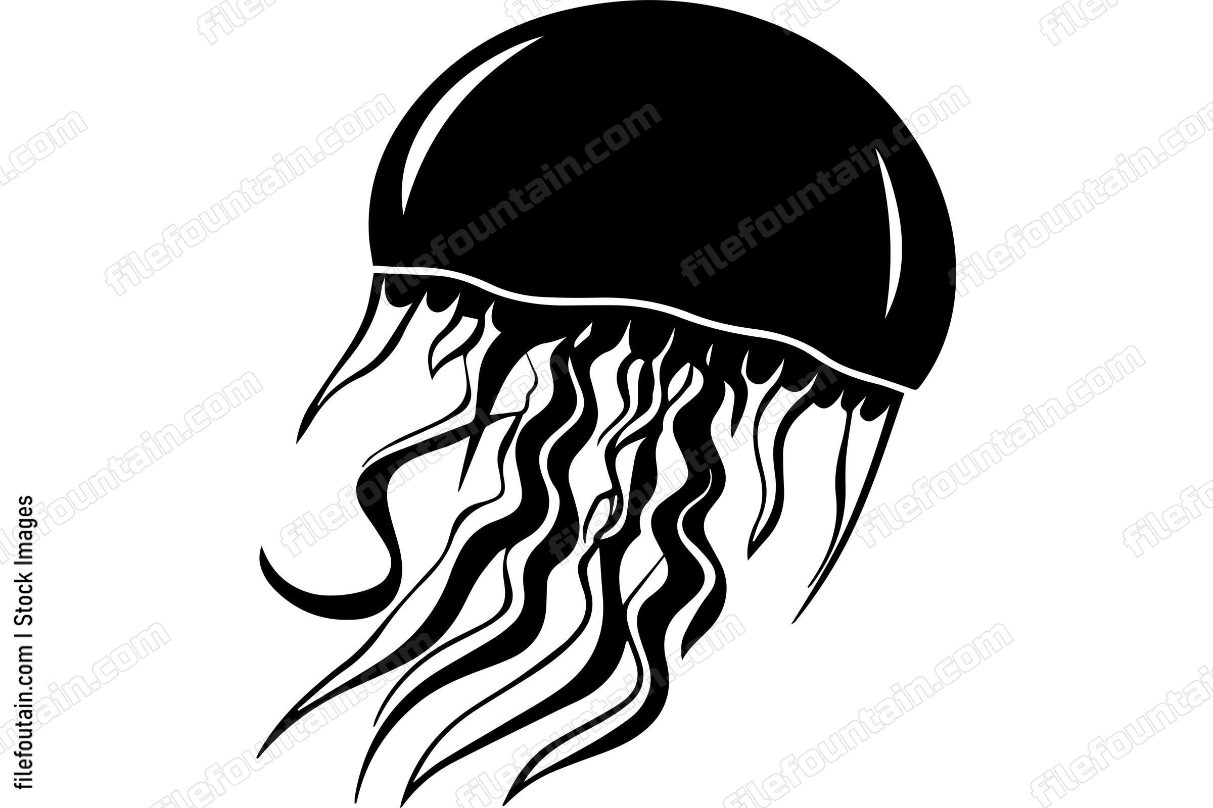 Jellyfish