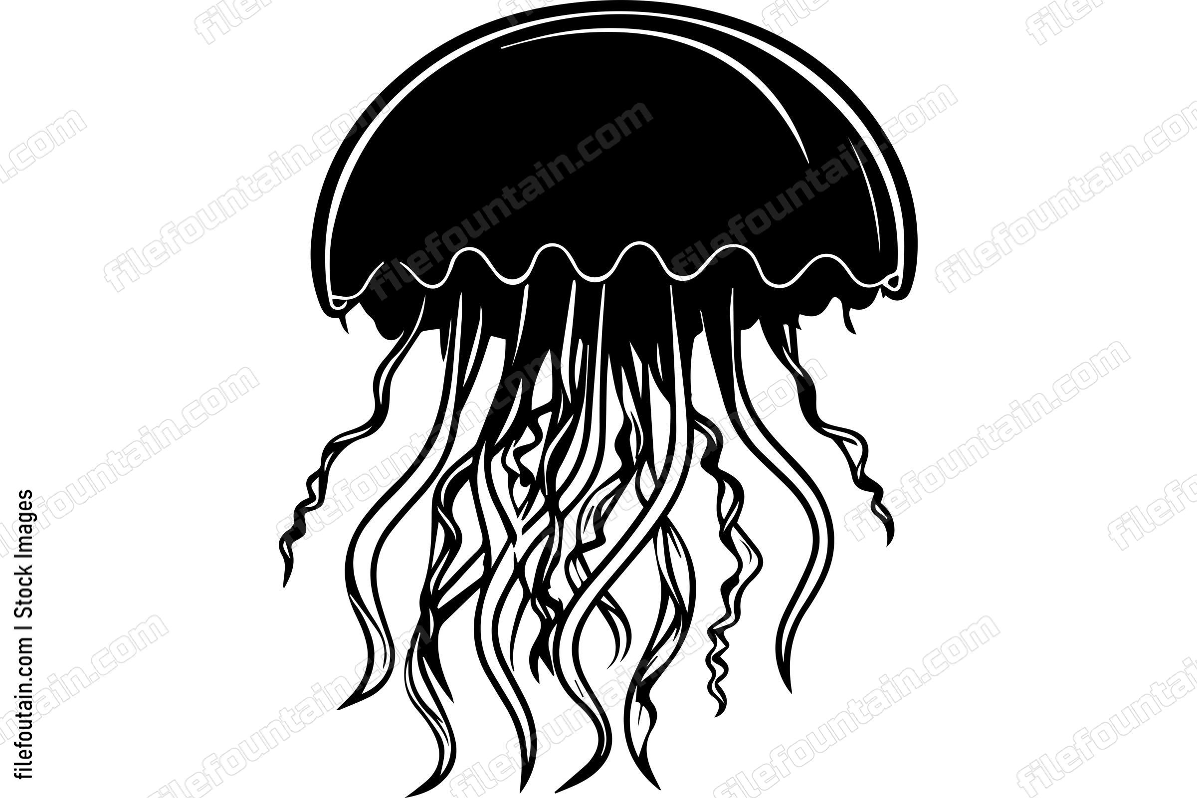 Jellyfish
