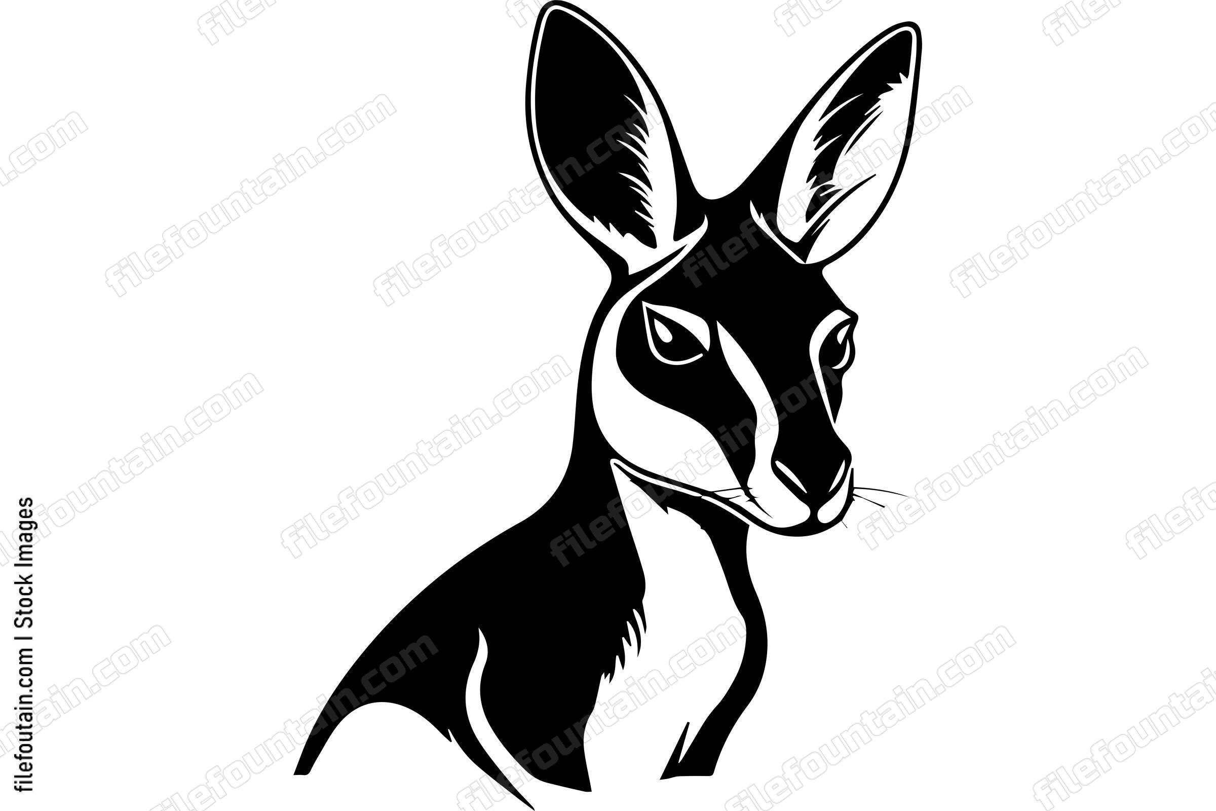 Kangaroo