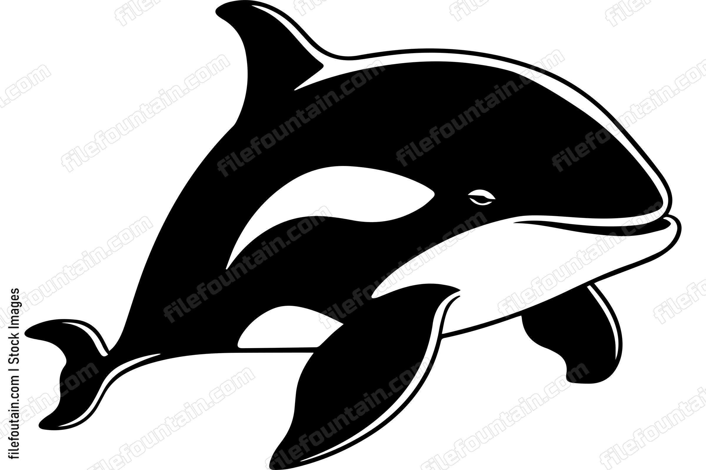 Killer Whale Orca