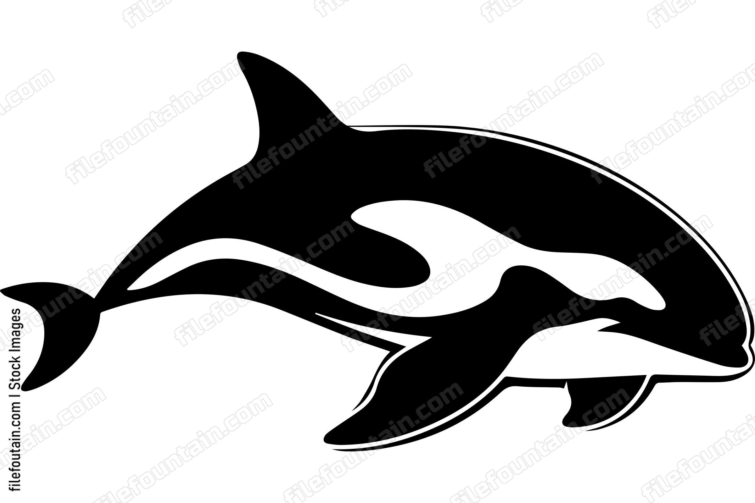 Killer Whale Orca