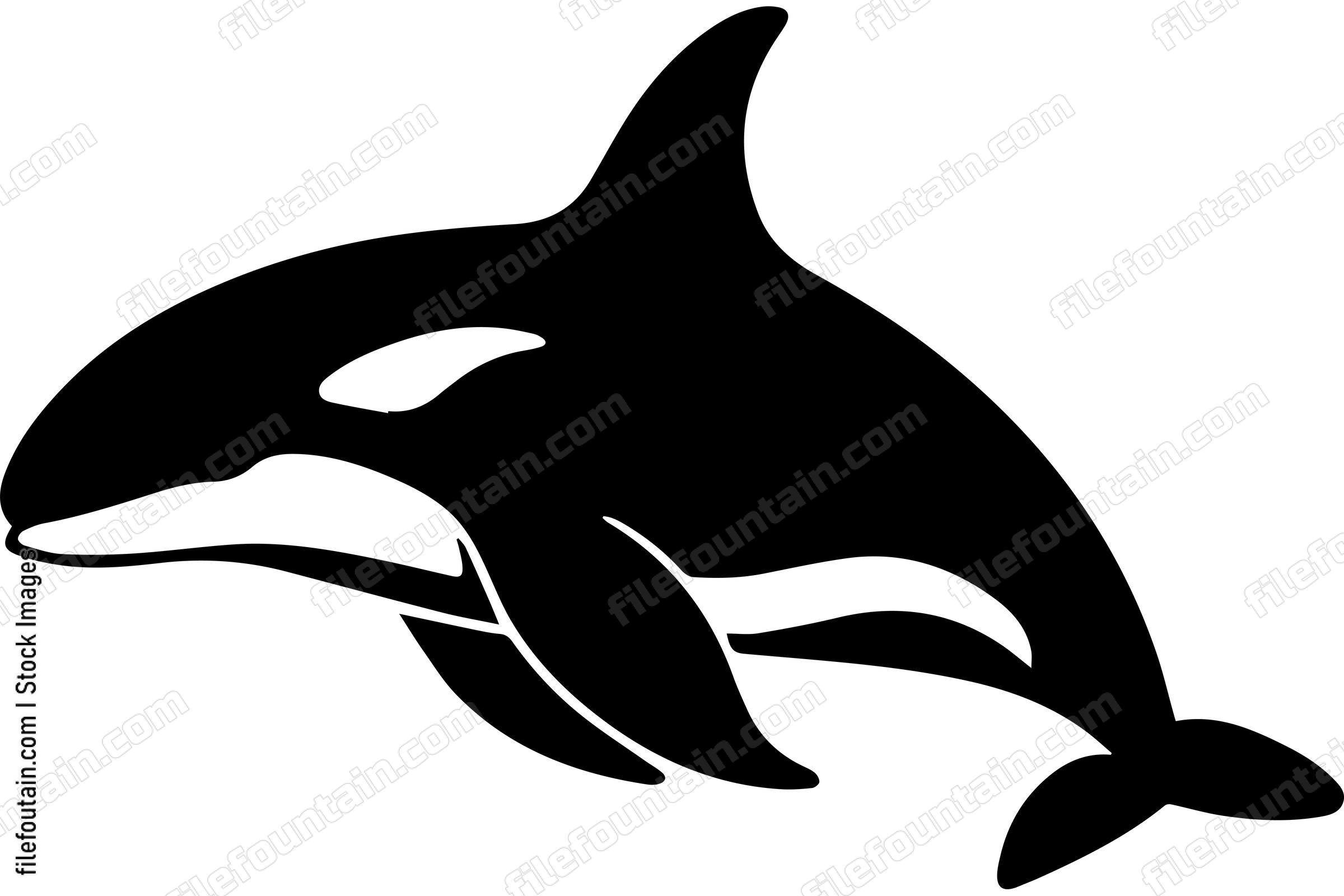 Killer Whale Orca