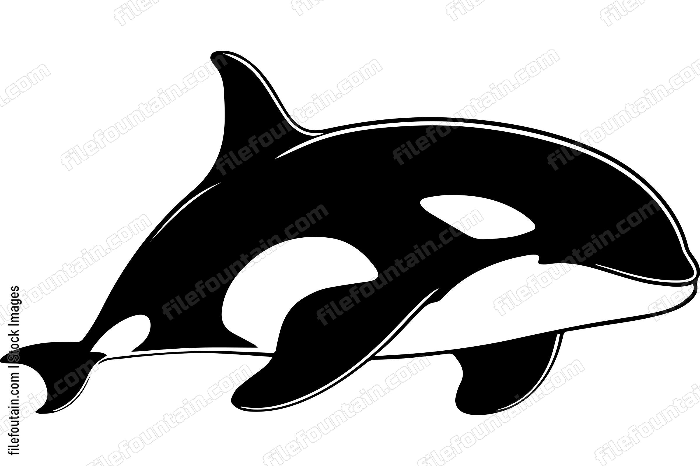 Killer Whale Orca