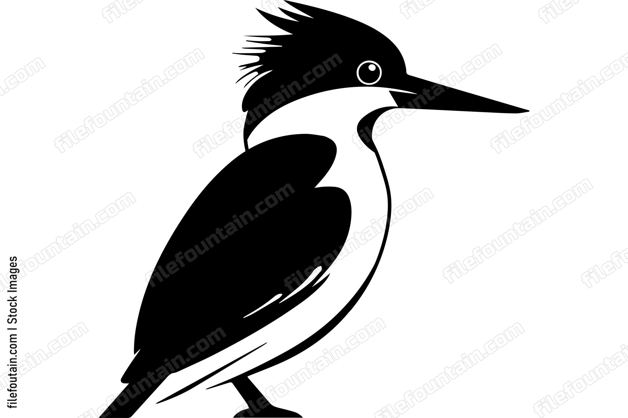 Kingfisher