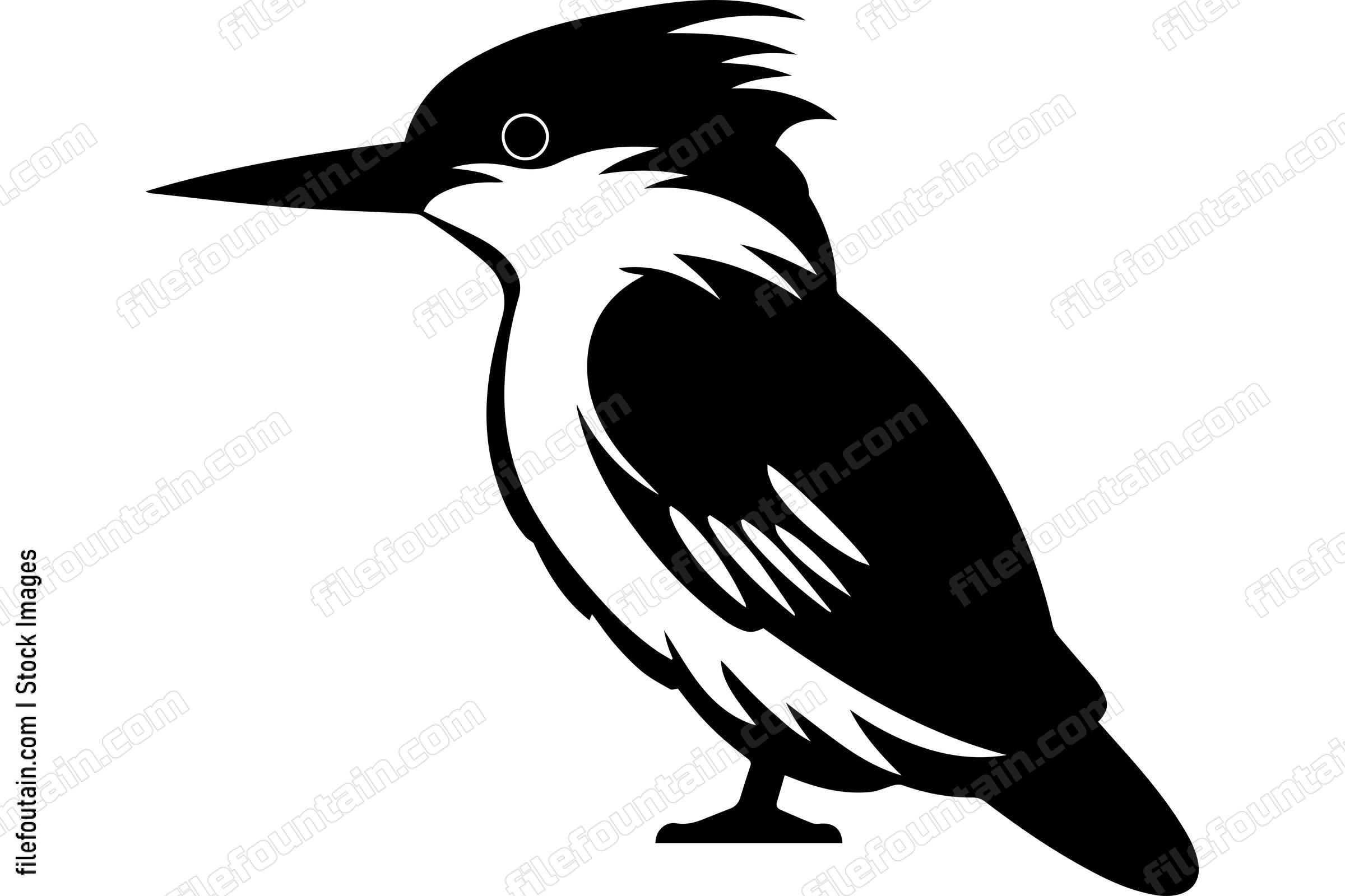 Kingfisher