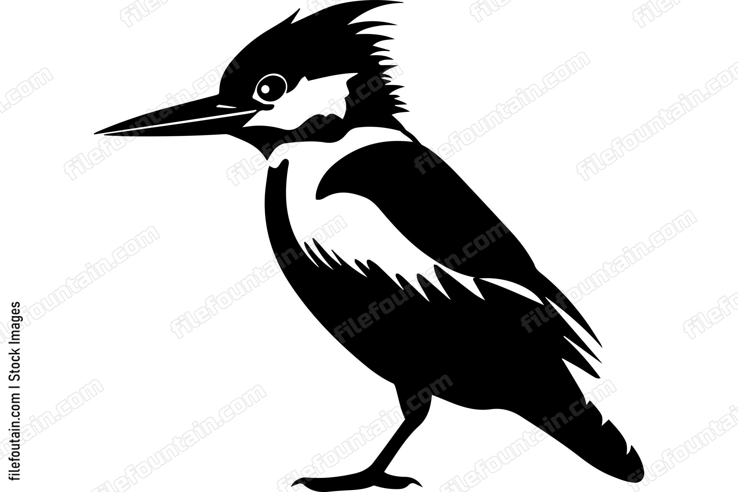 Kingfisher