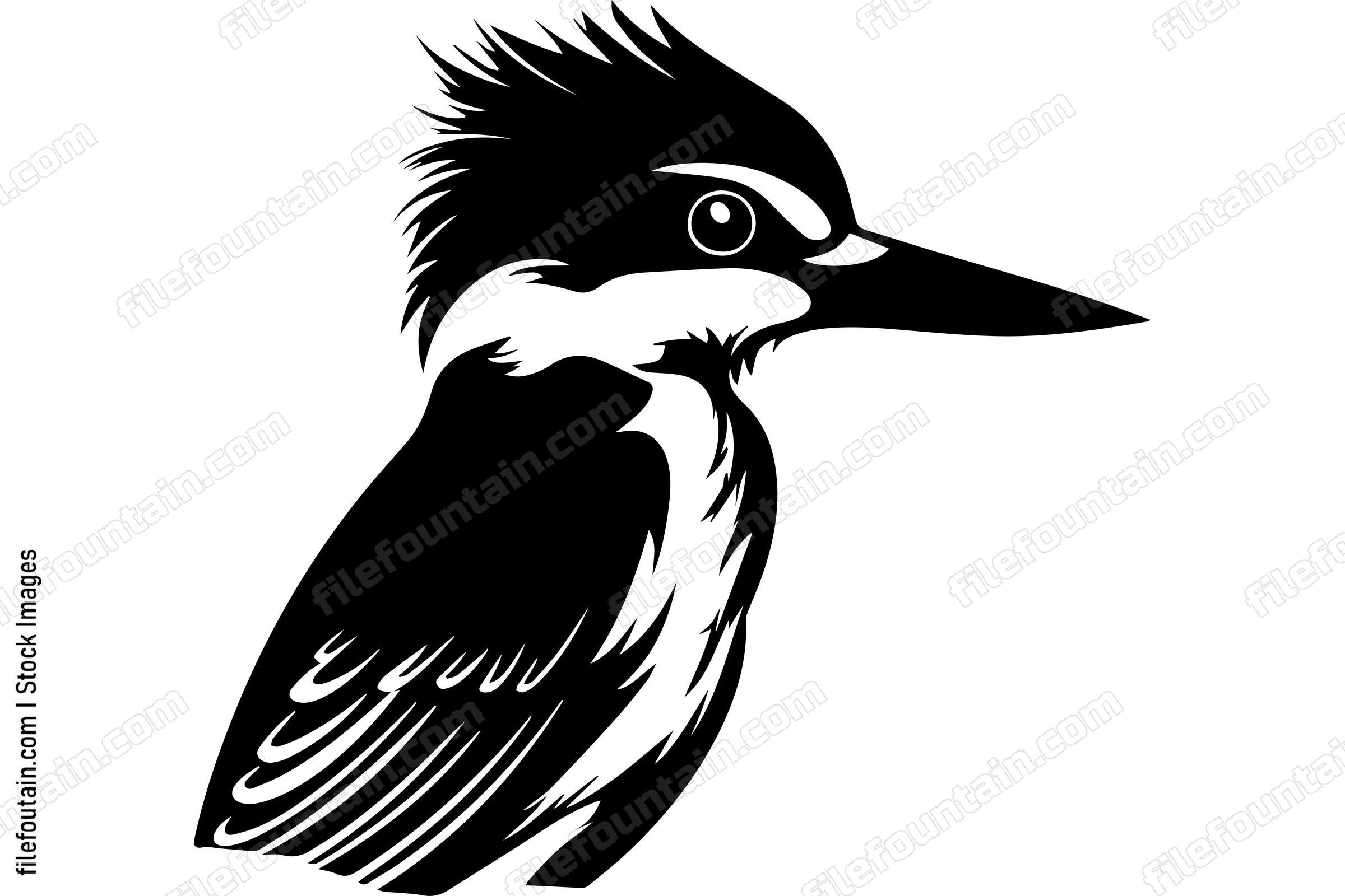Kingfisher