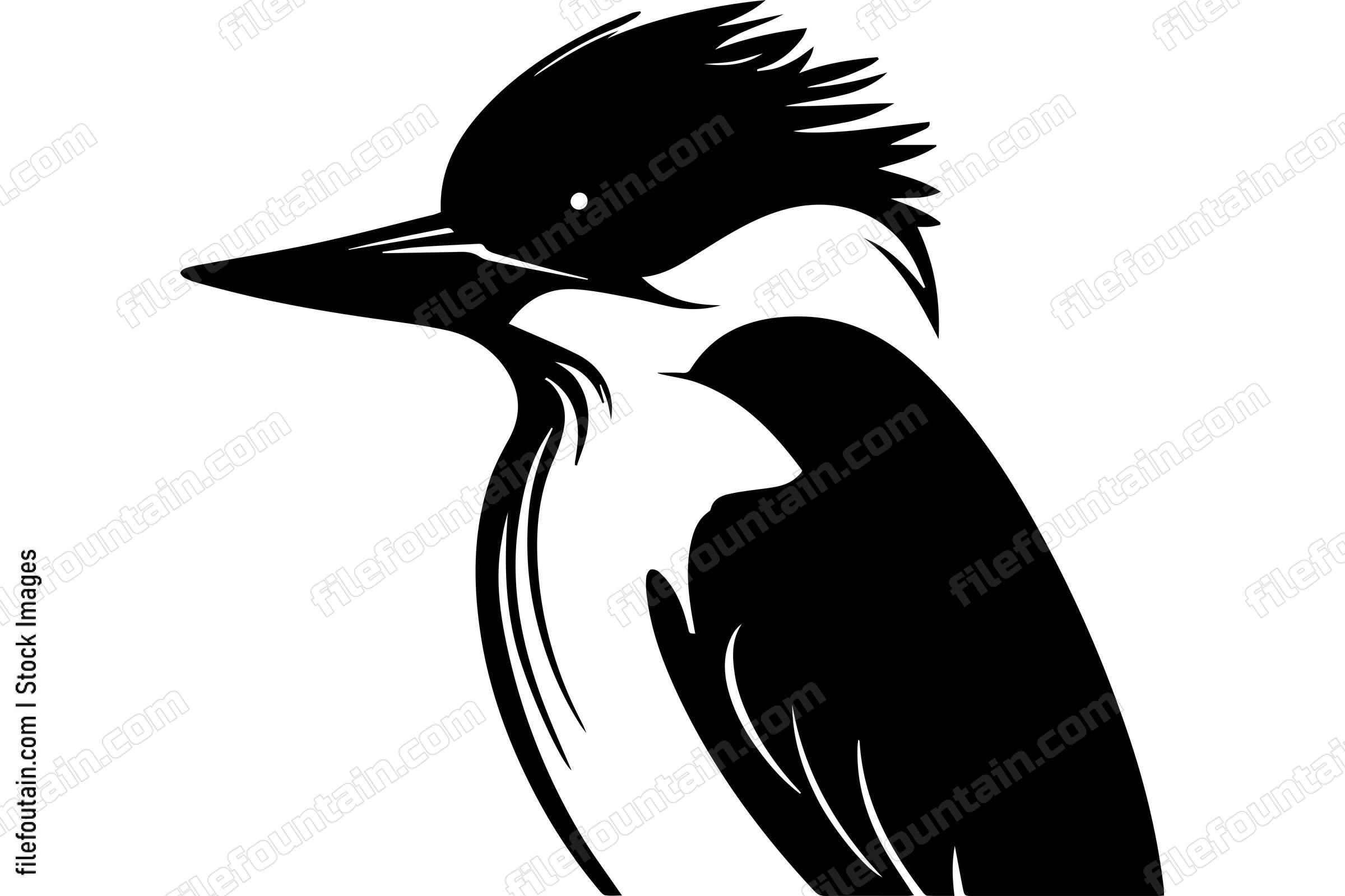 Kingfisher