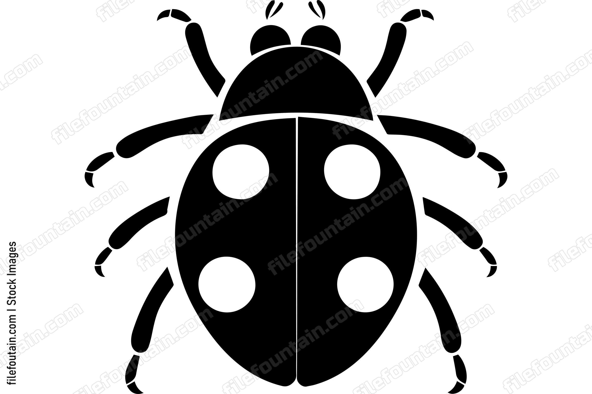 Ladybug