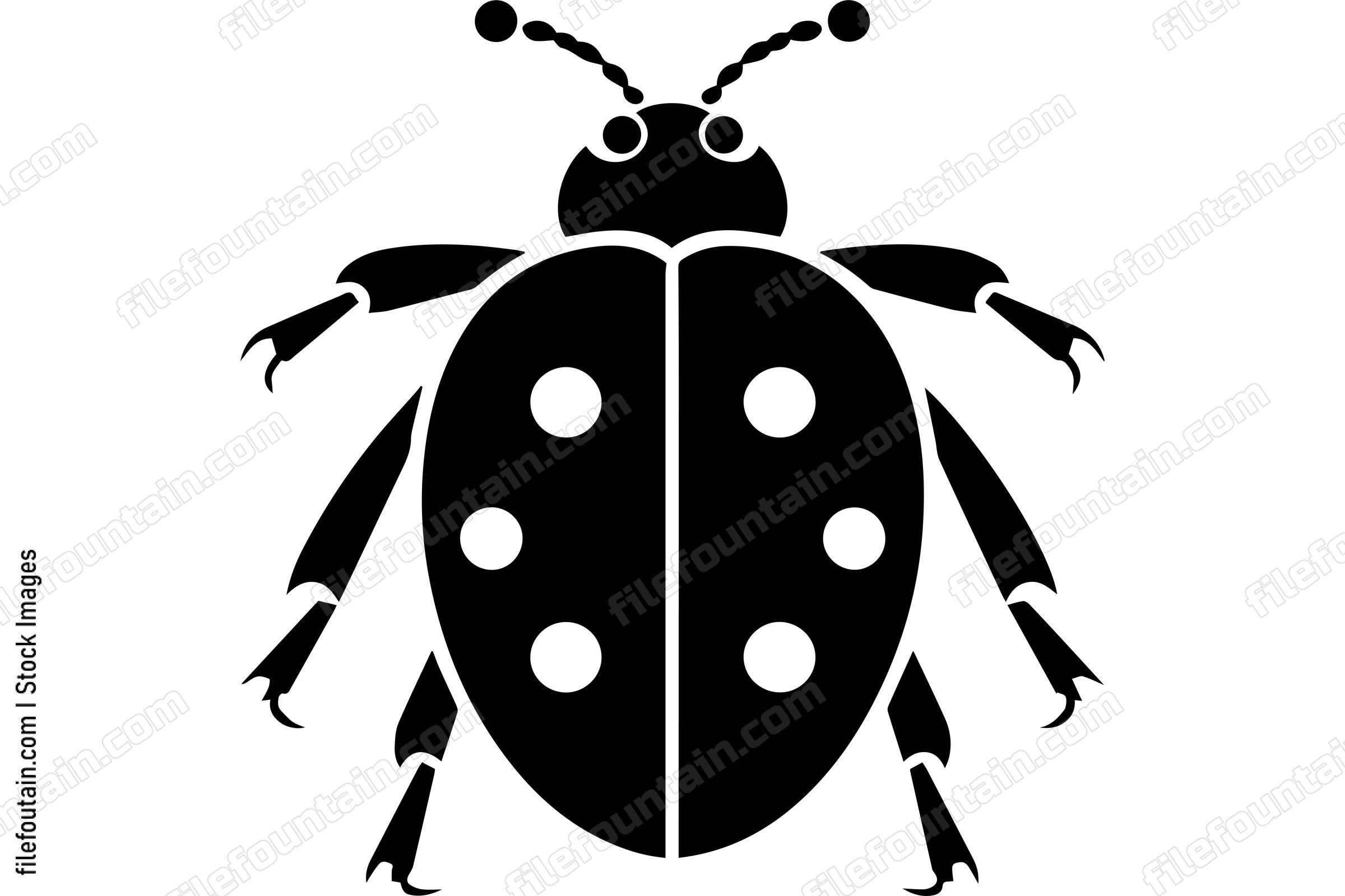Ladybug