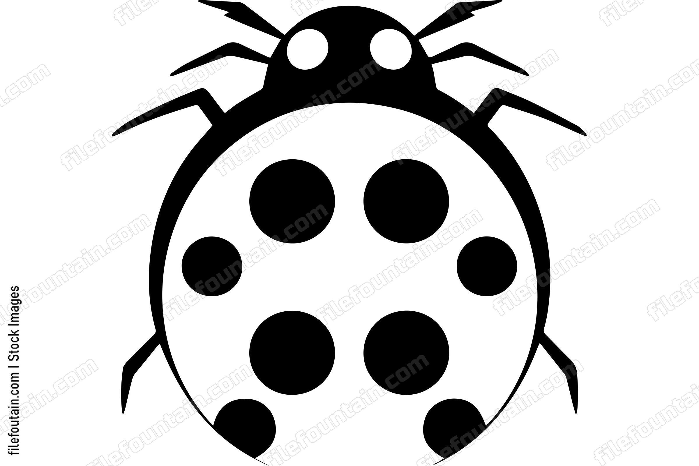 Ladybug
