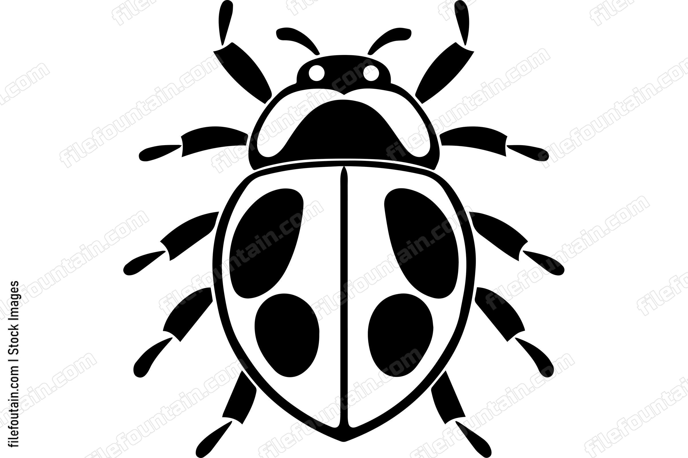 Ladybug