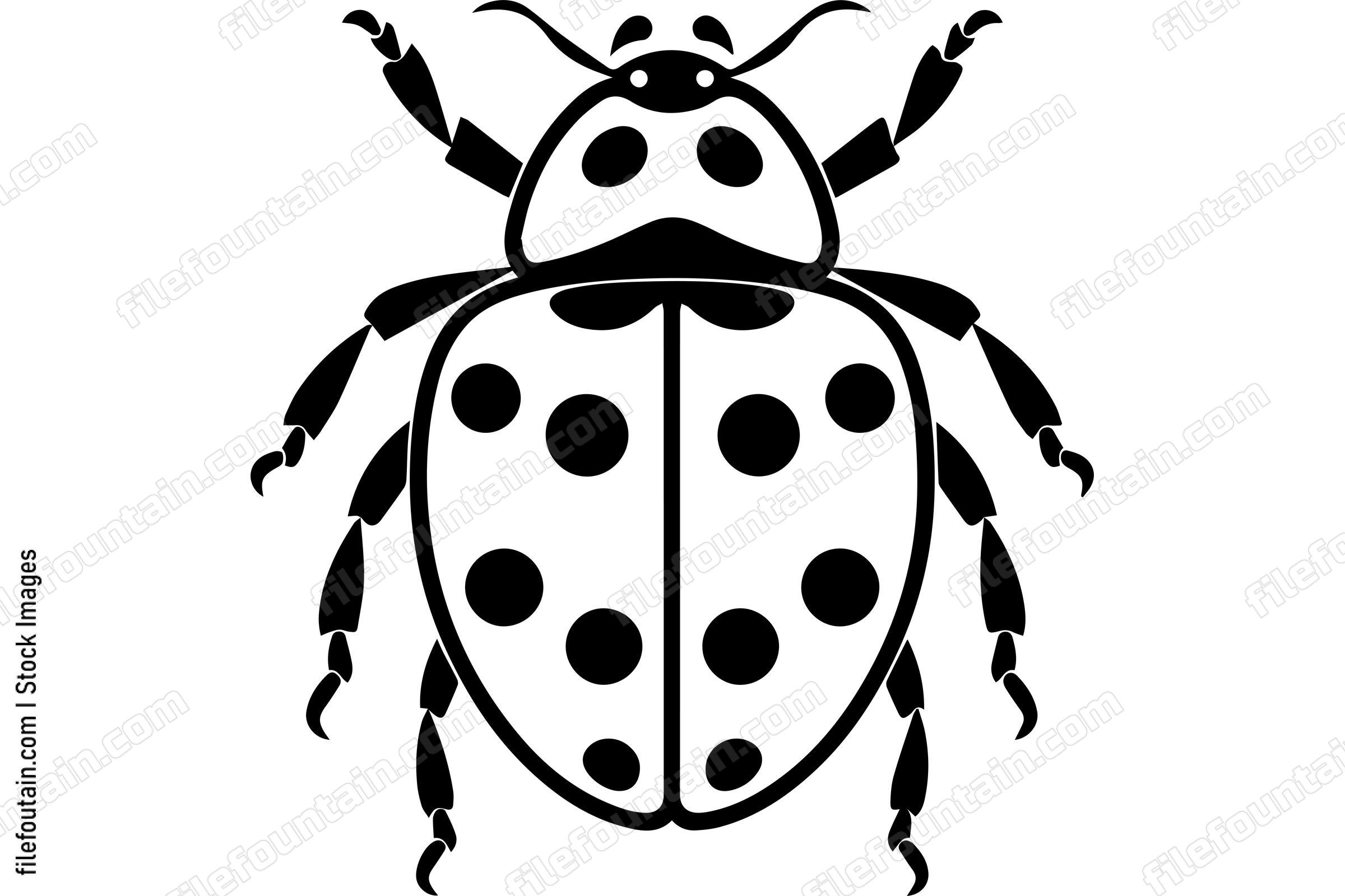 Ladybug