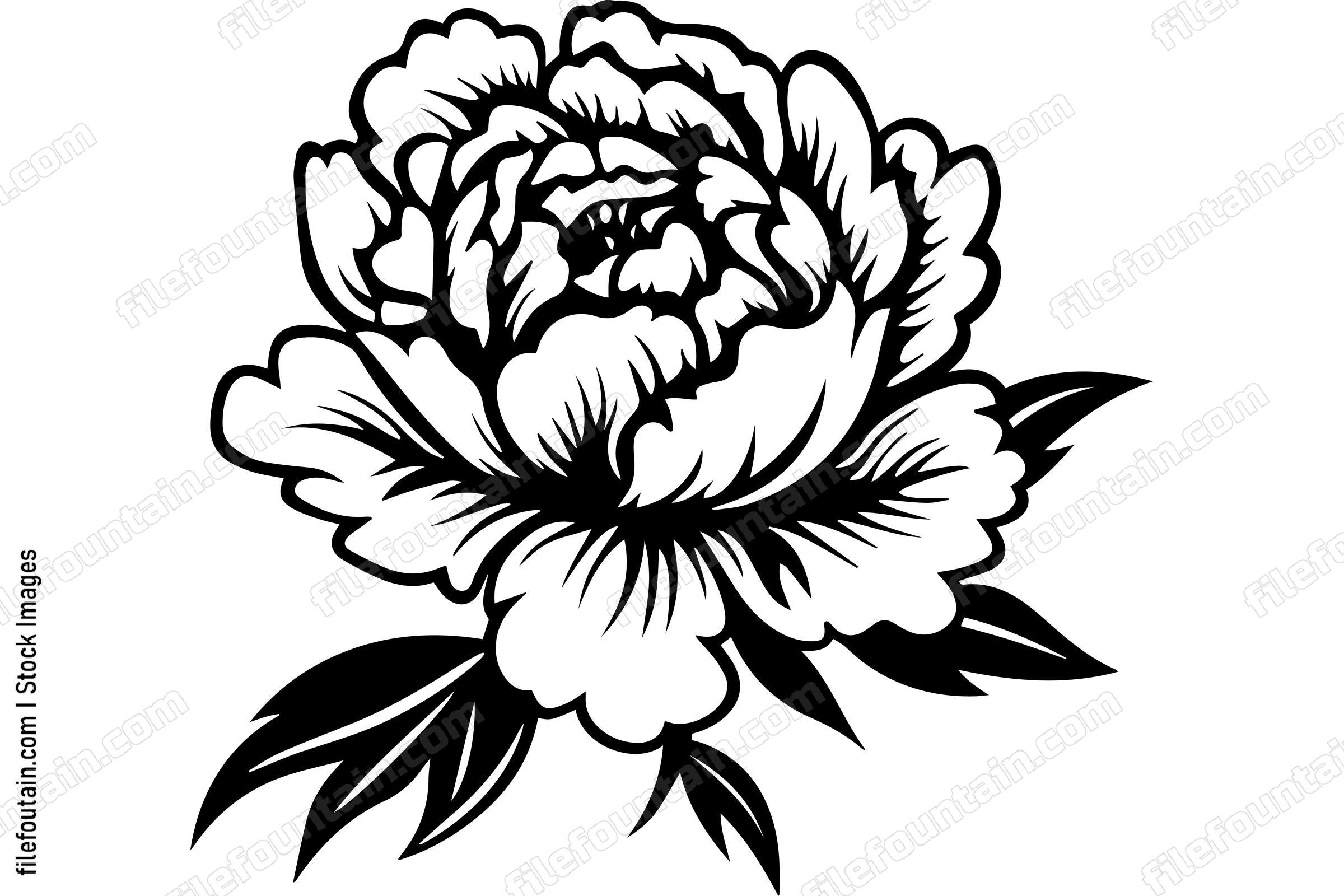 Light Peony Flower