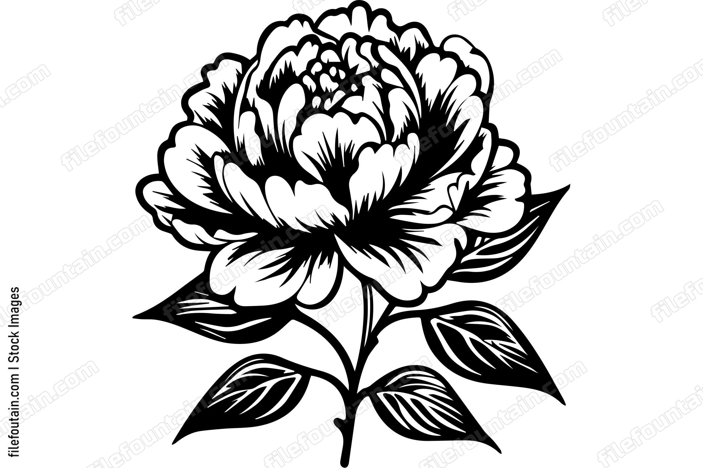 Light Peony Flower
