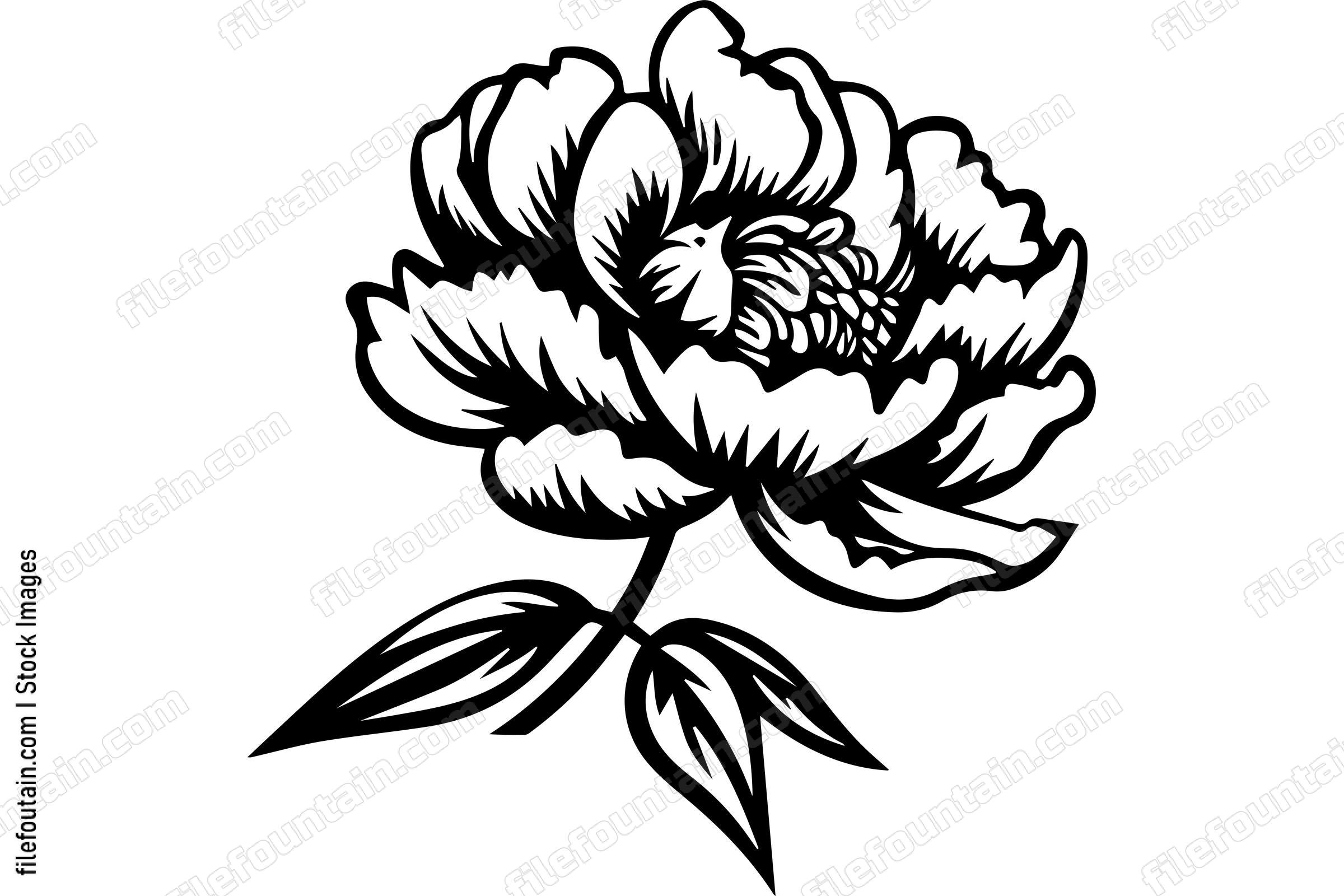 Light Peony Flower