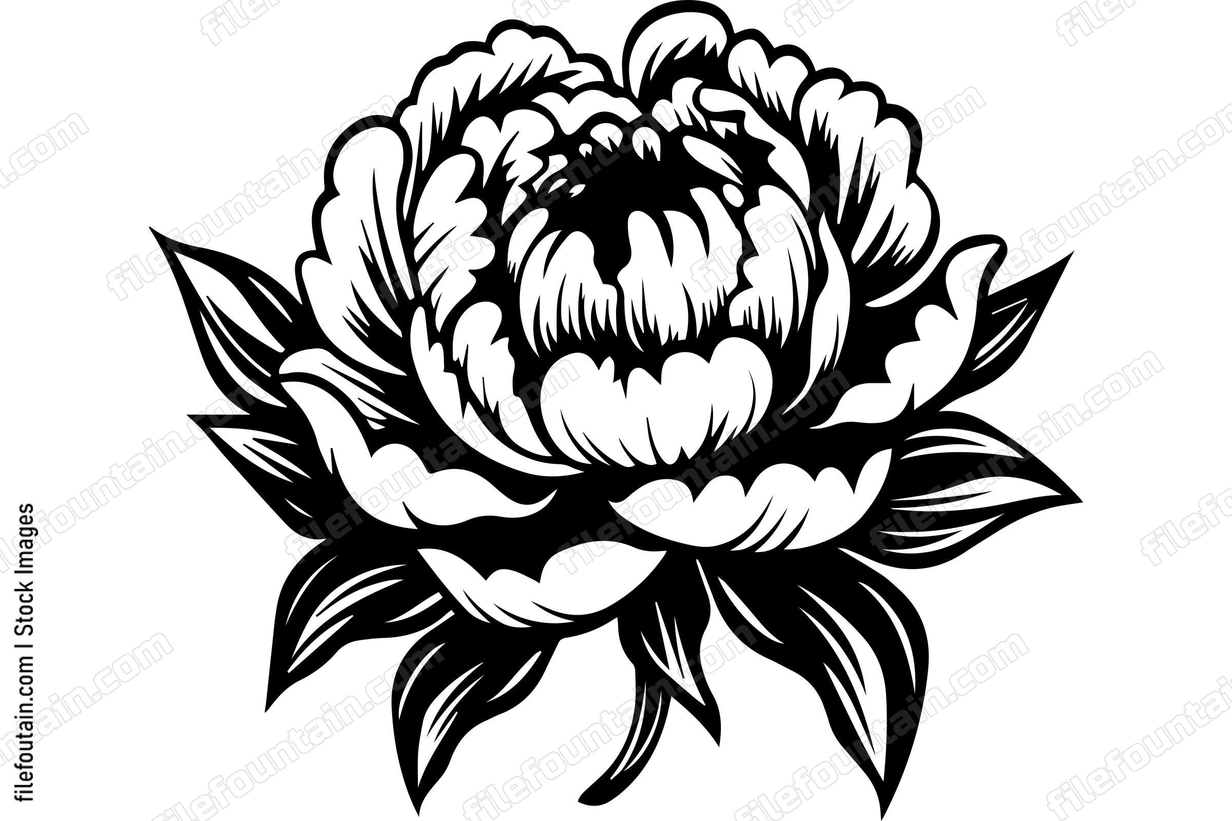 Light Peony Flower