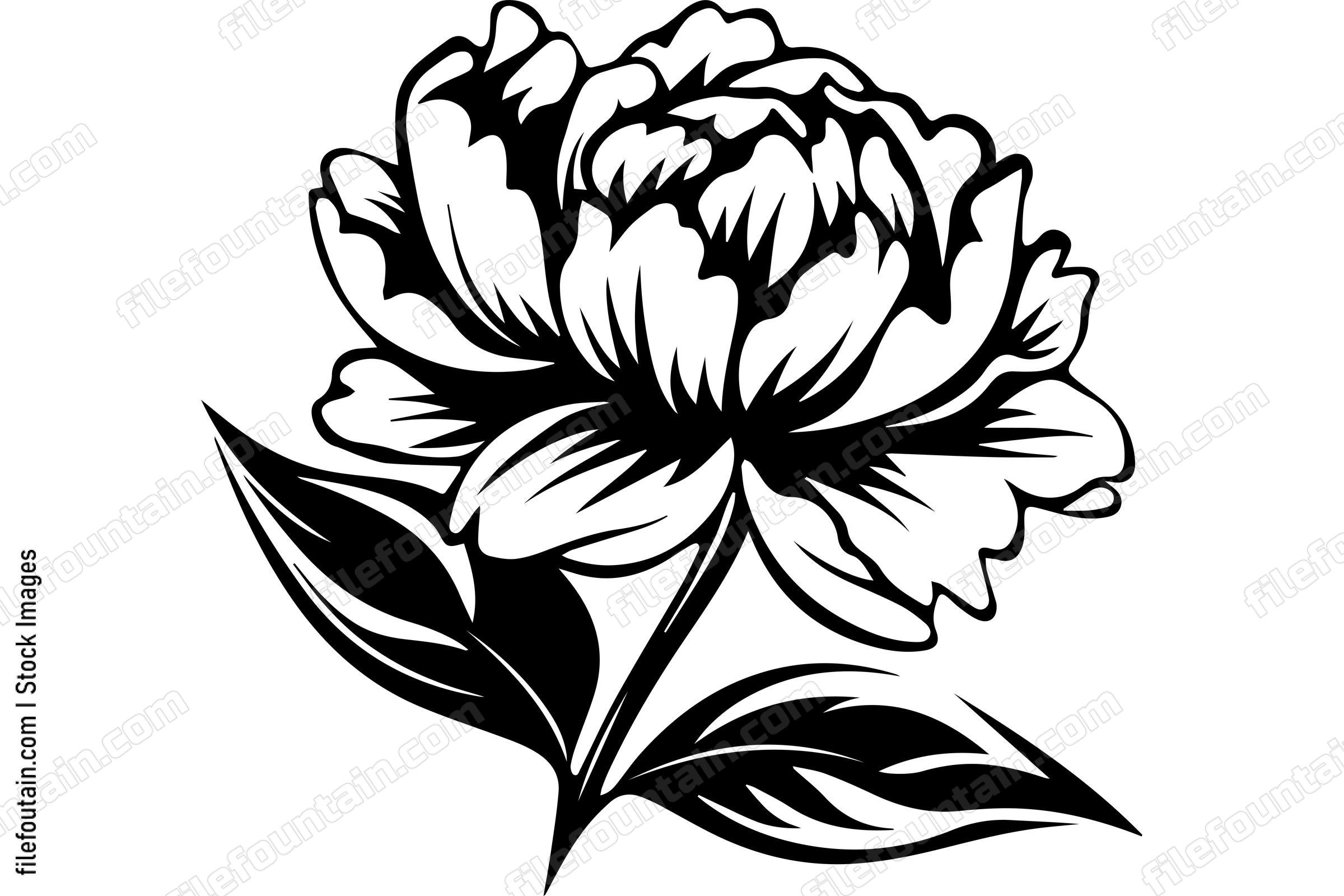 Light Peony Flower