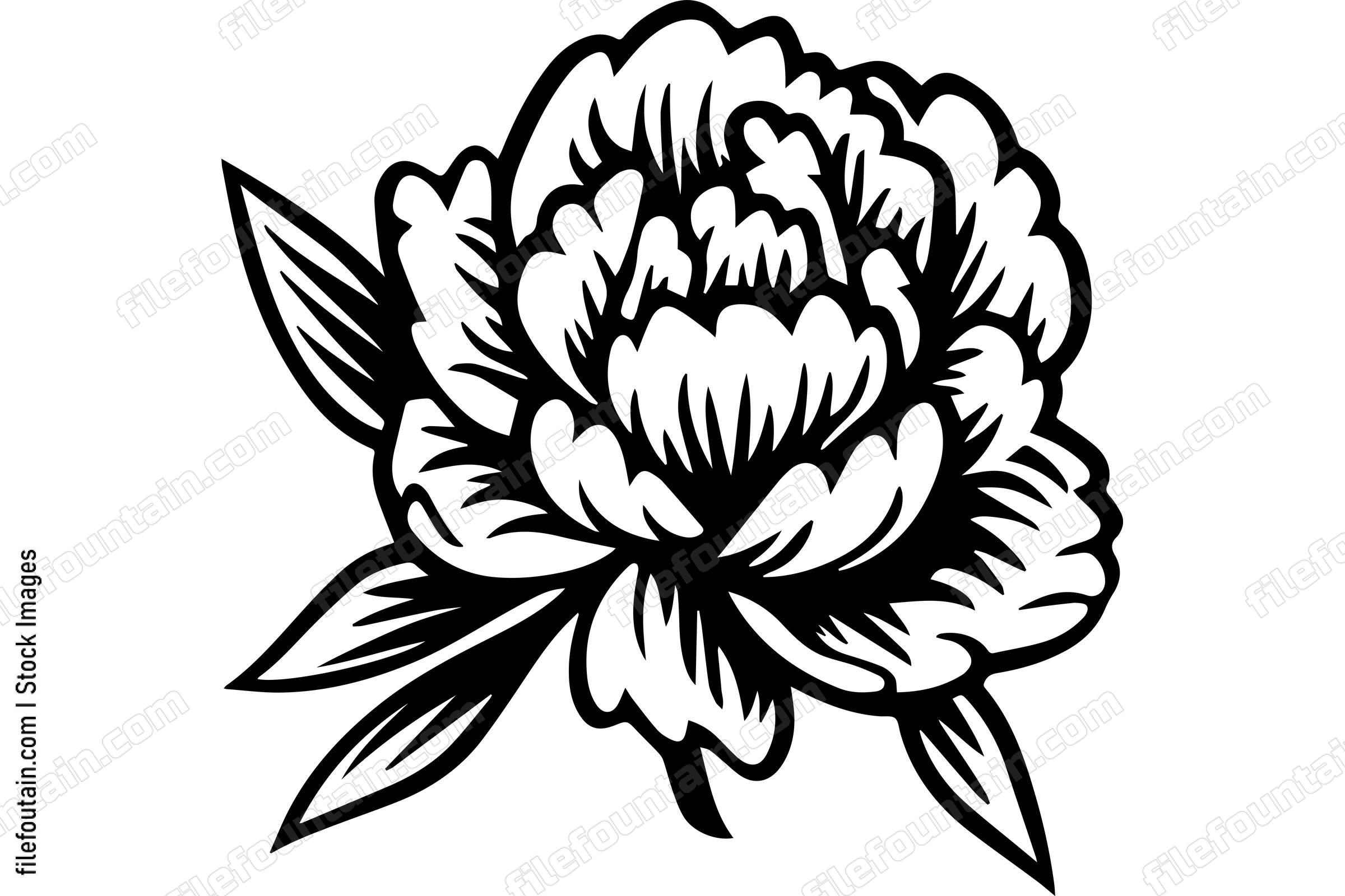 Light Peony Flower