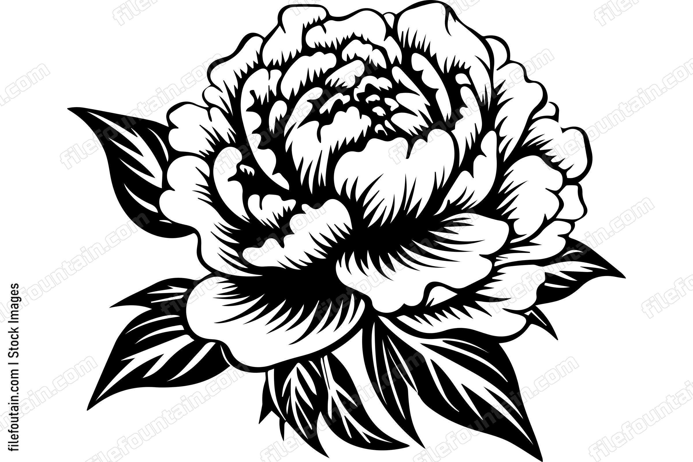 Light Peony Flower