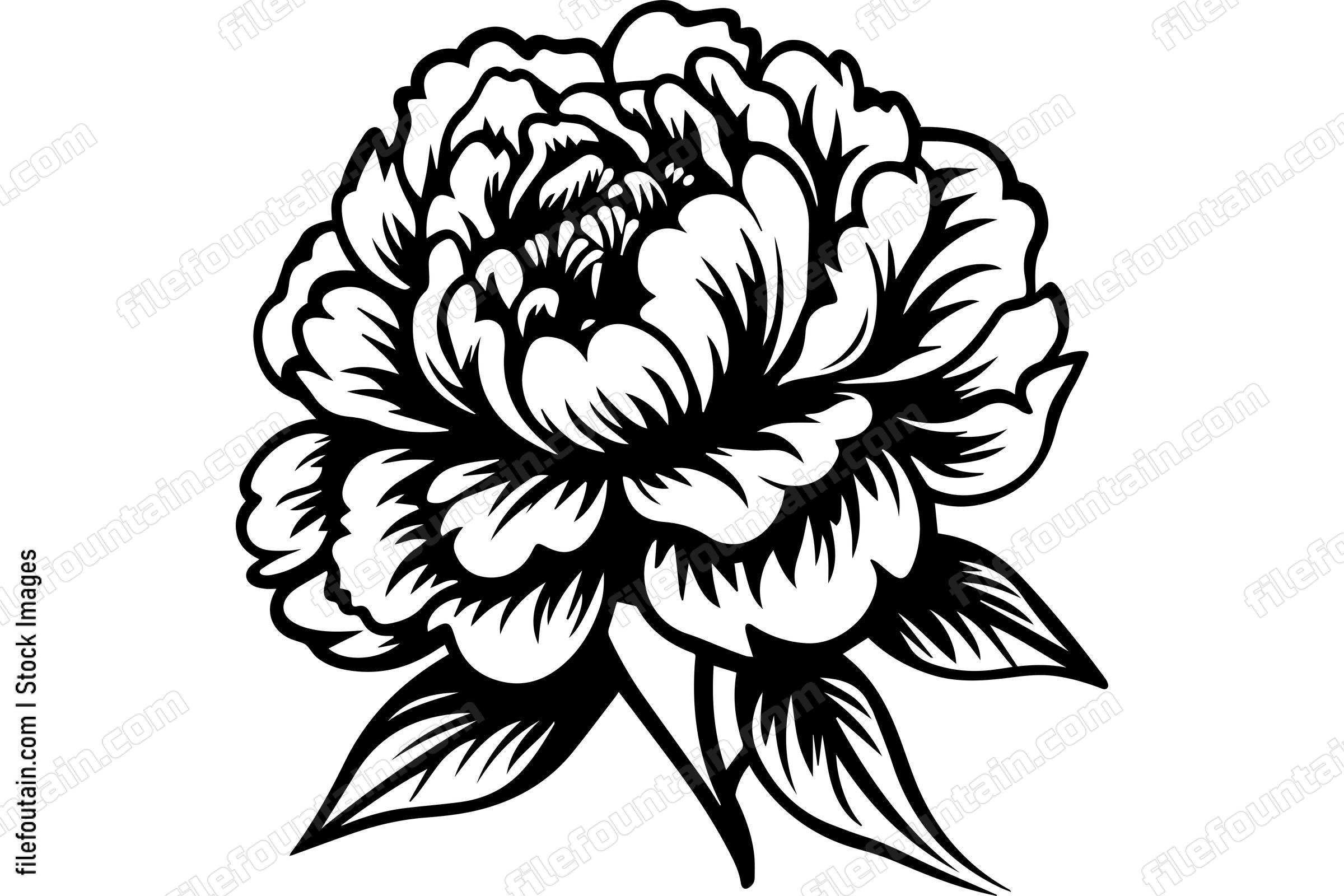 Light Peony Flower