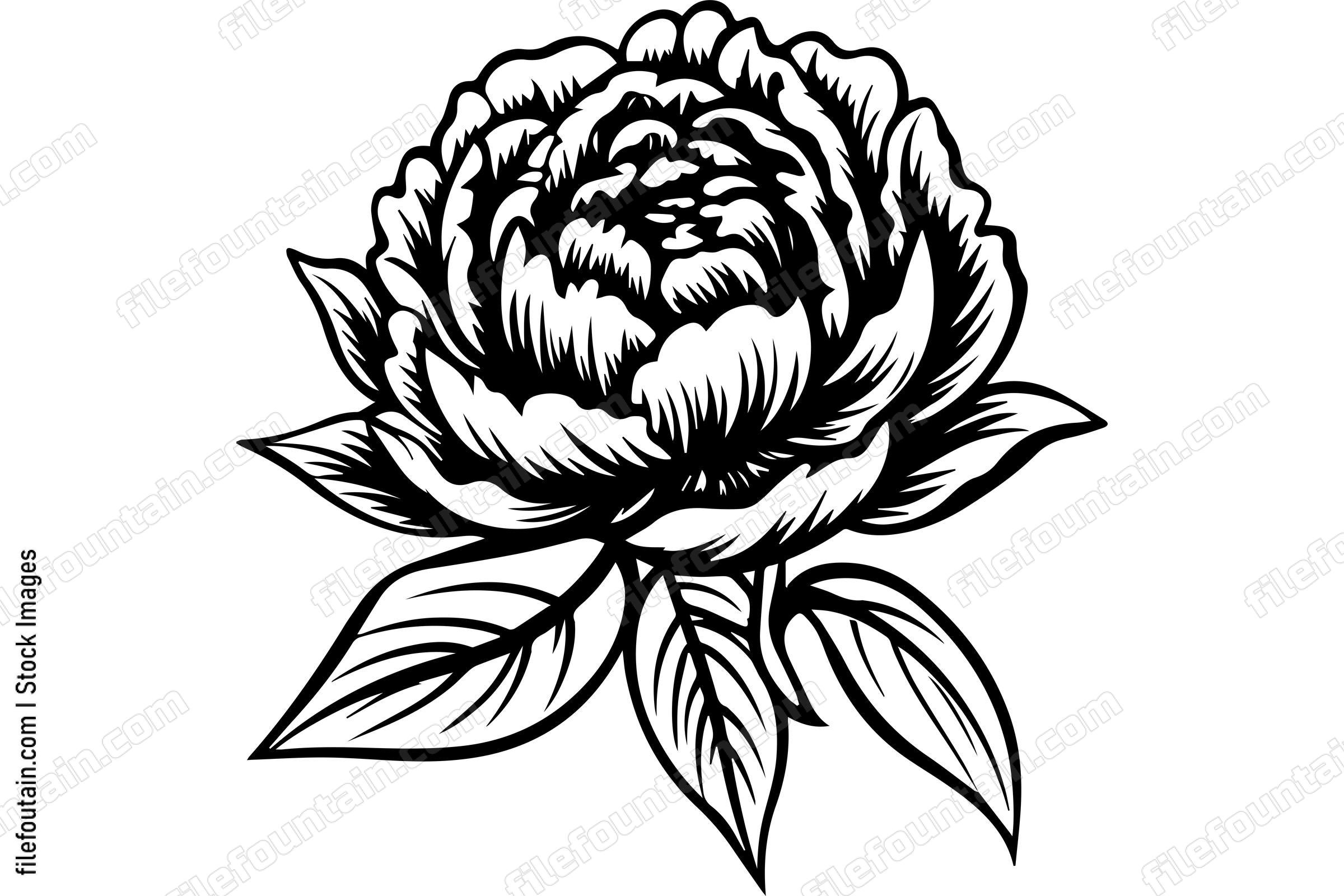 Light Peony Flower