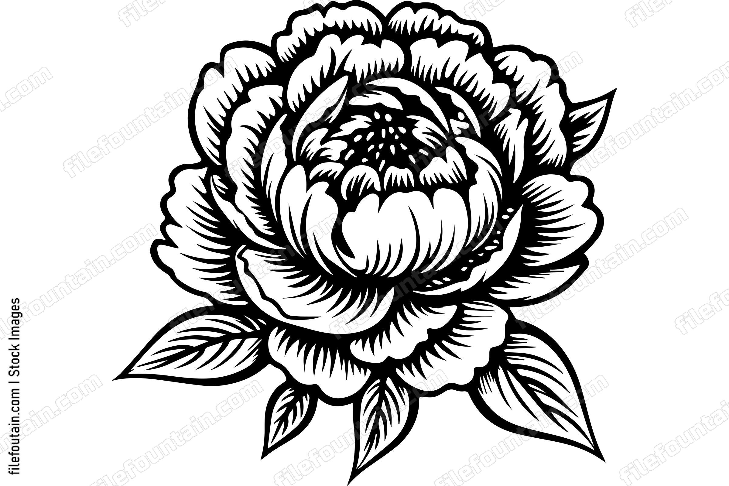 Light Peony Flower