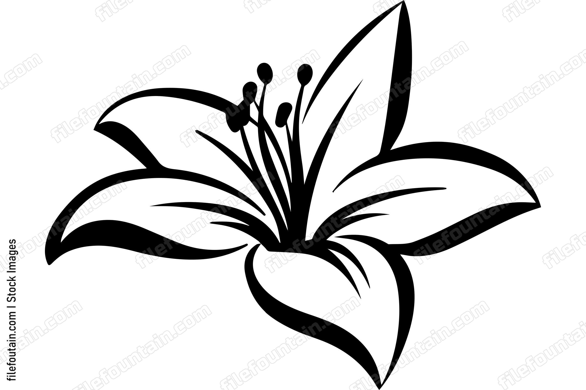 Lily Flower