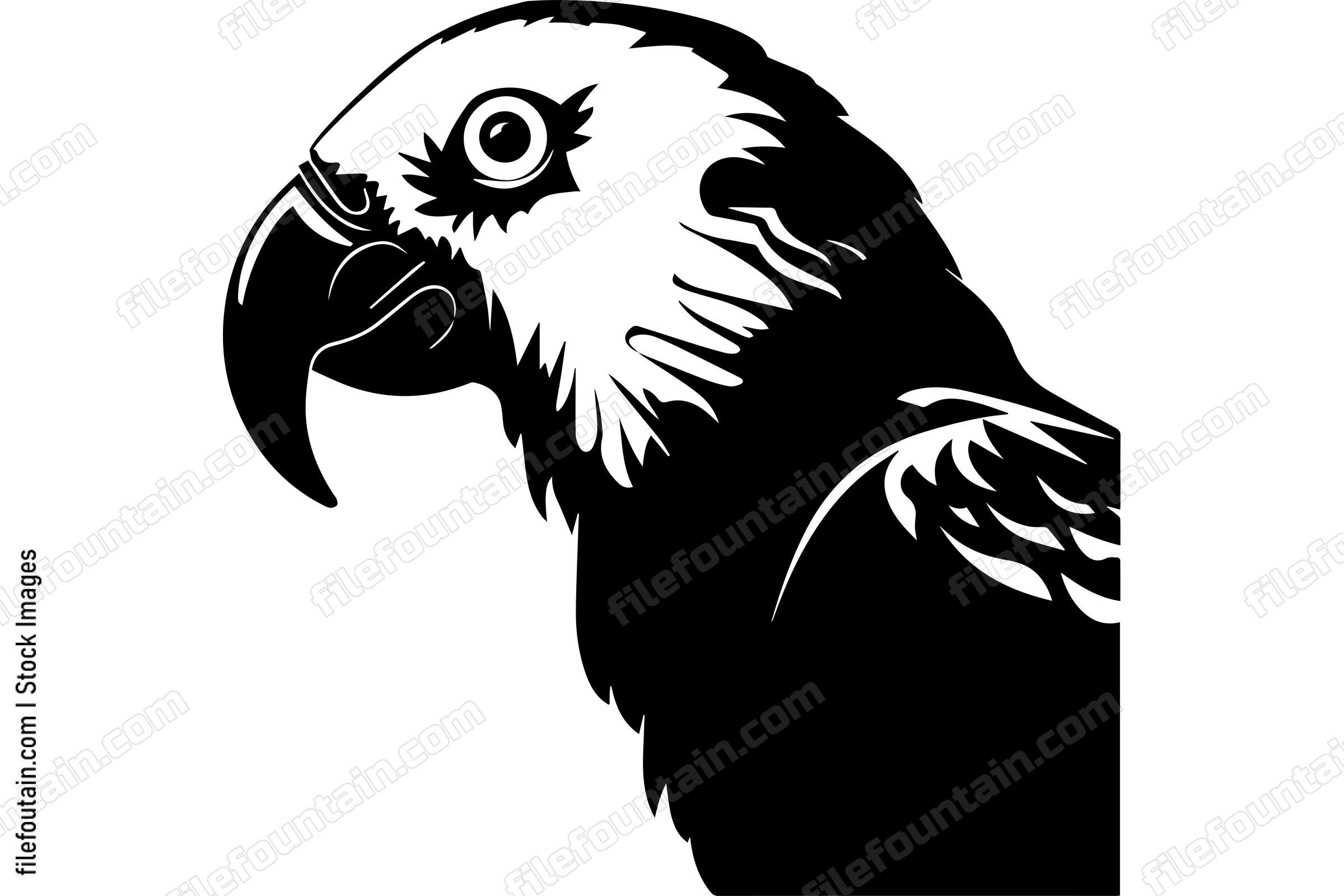 Macaw