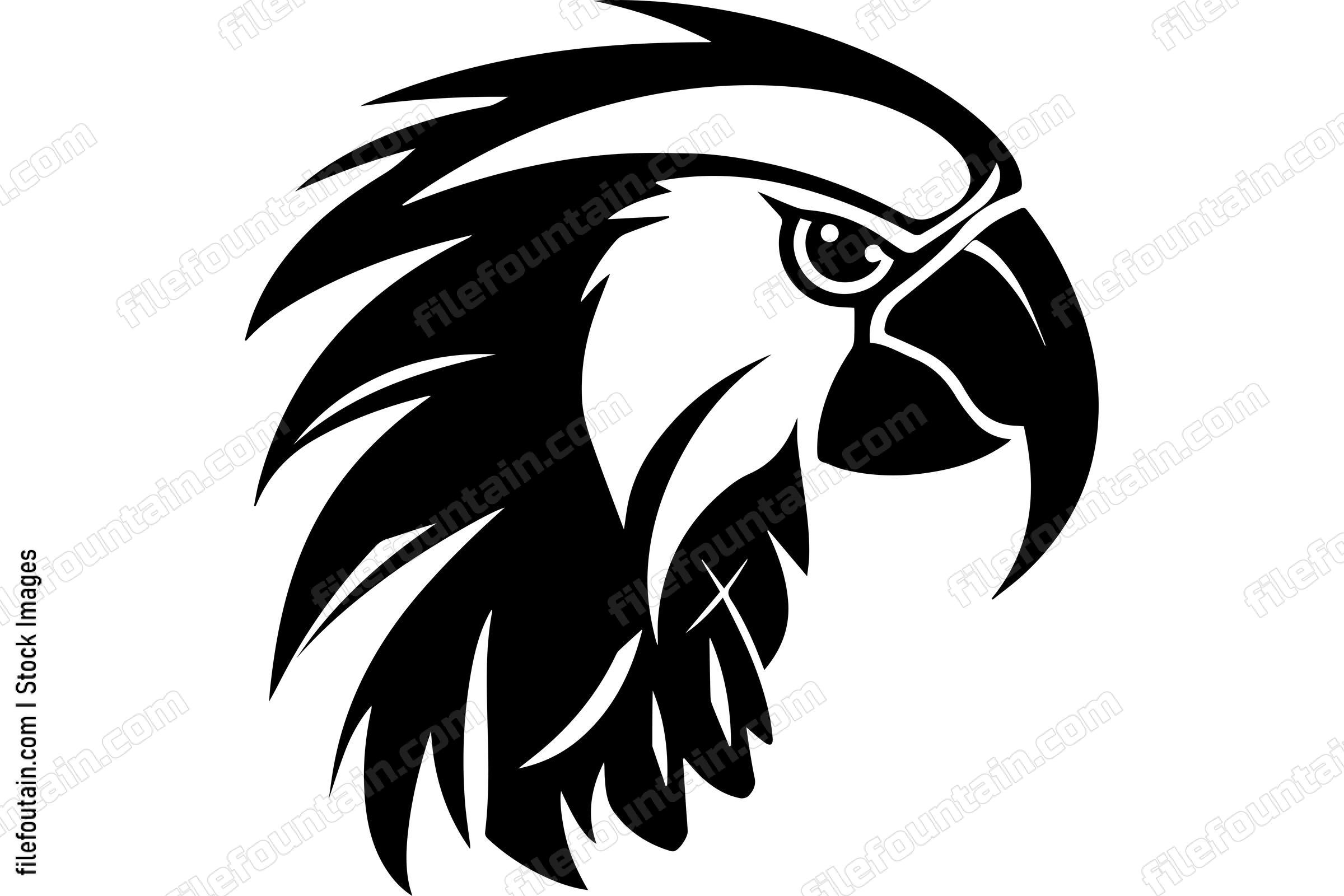Macaw
