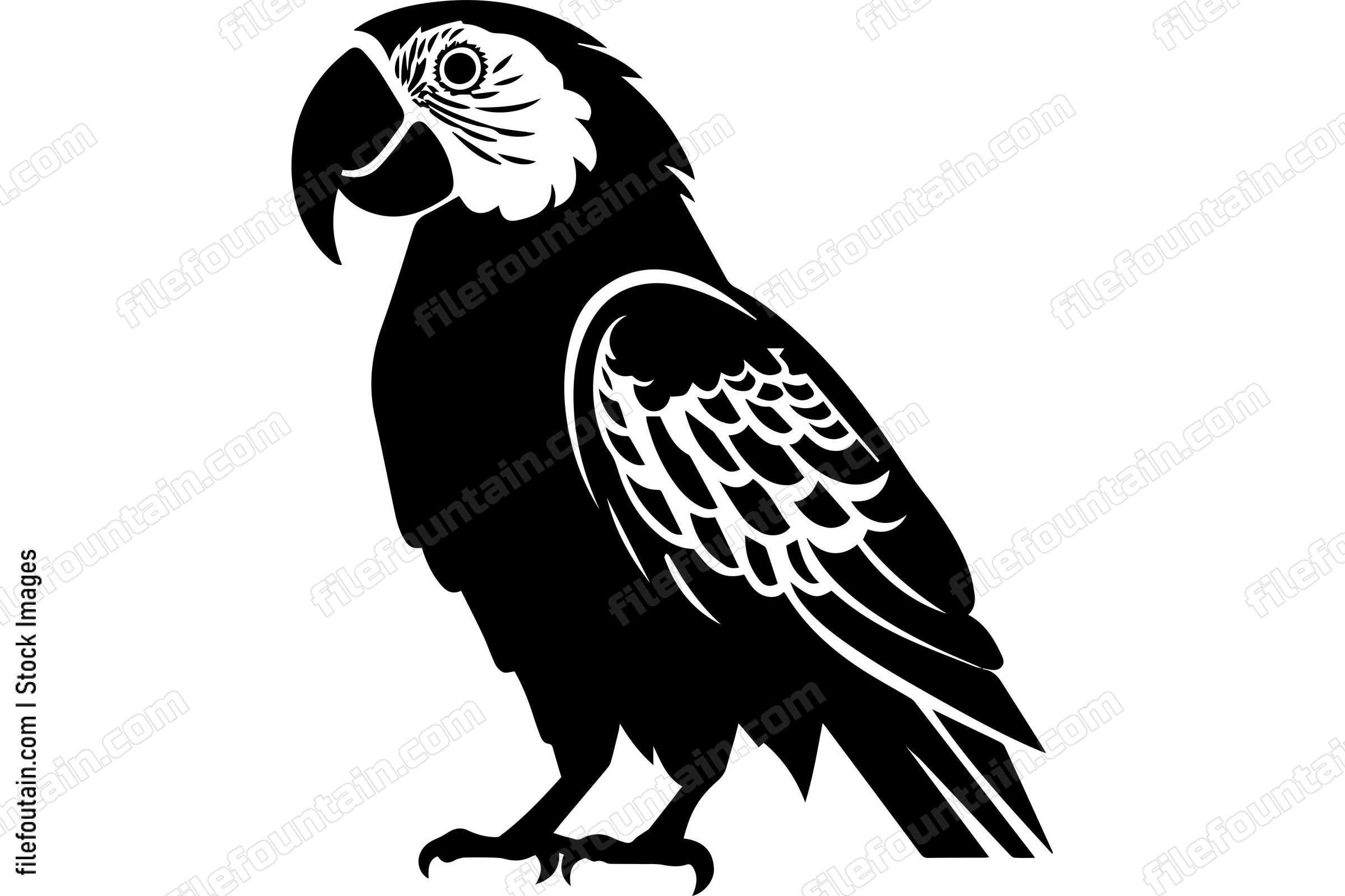 Macaw