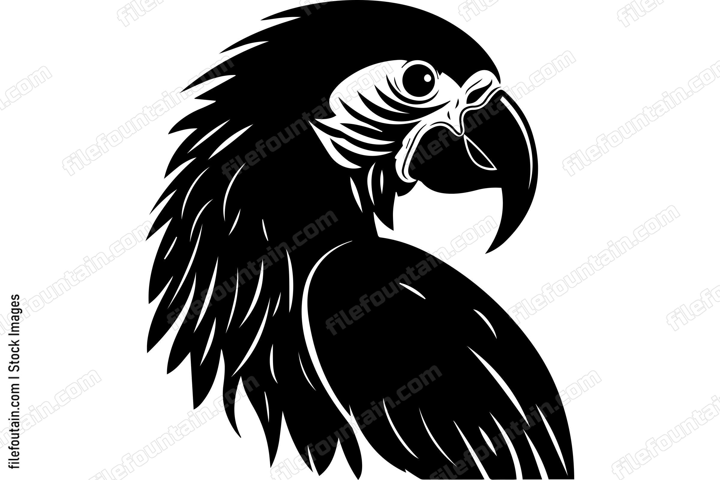Macaw