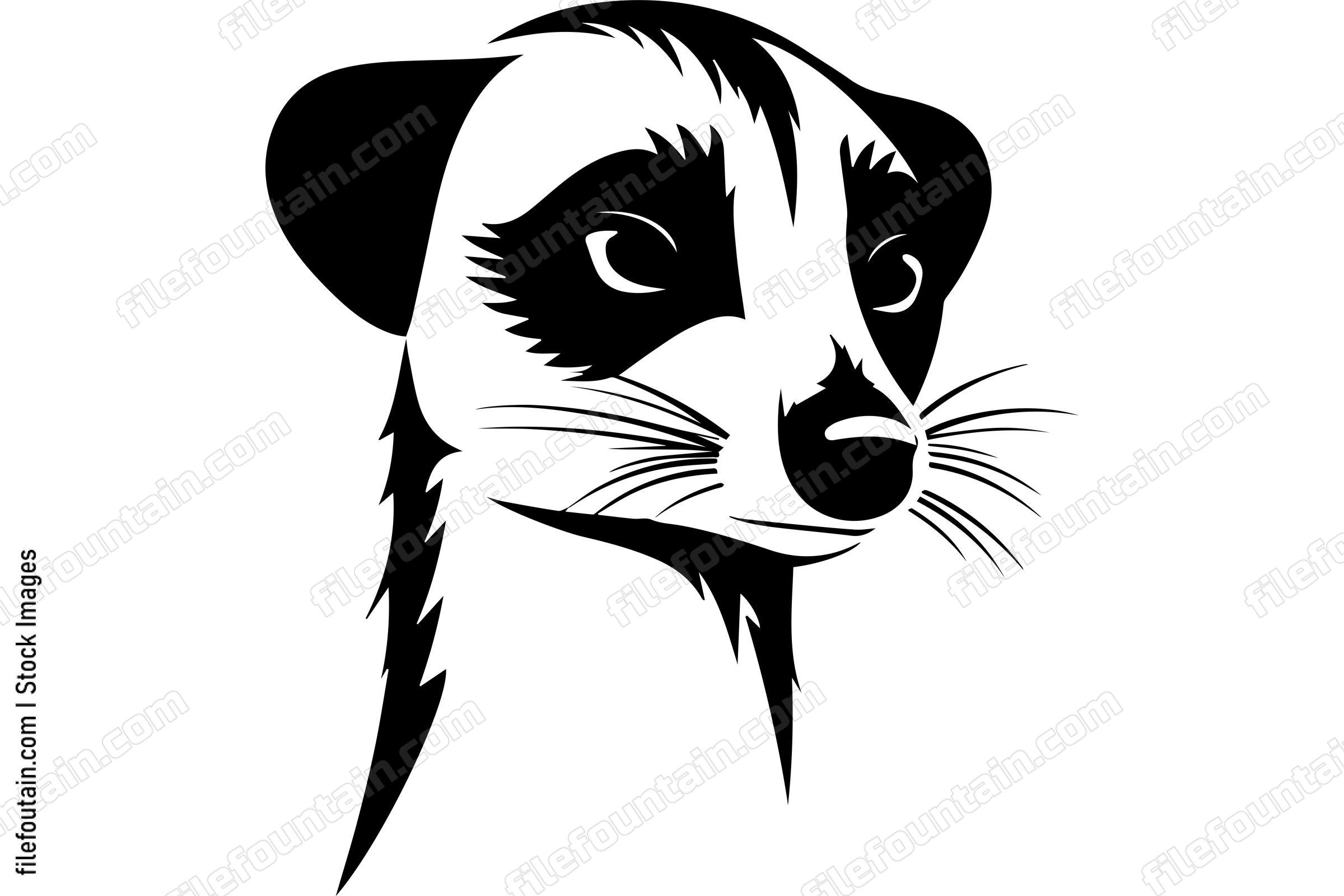 Meerkat