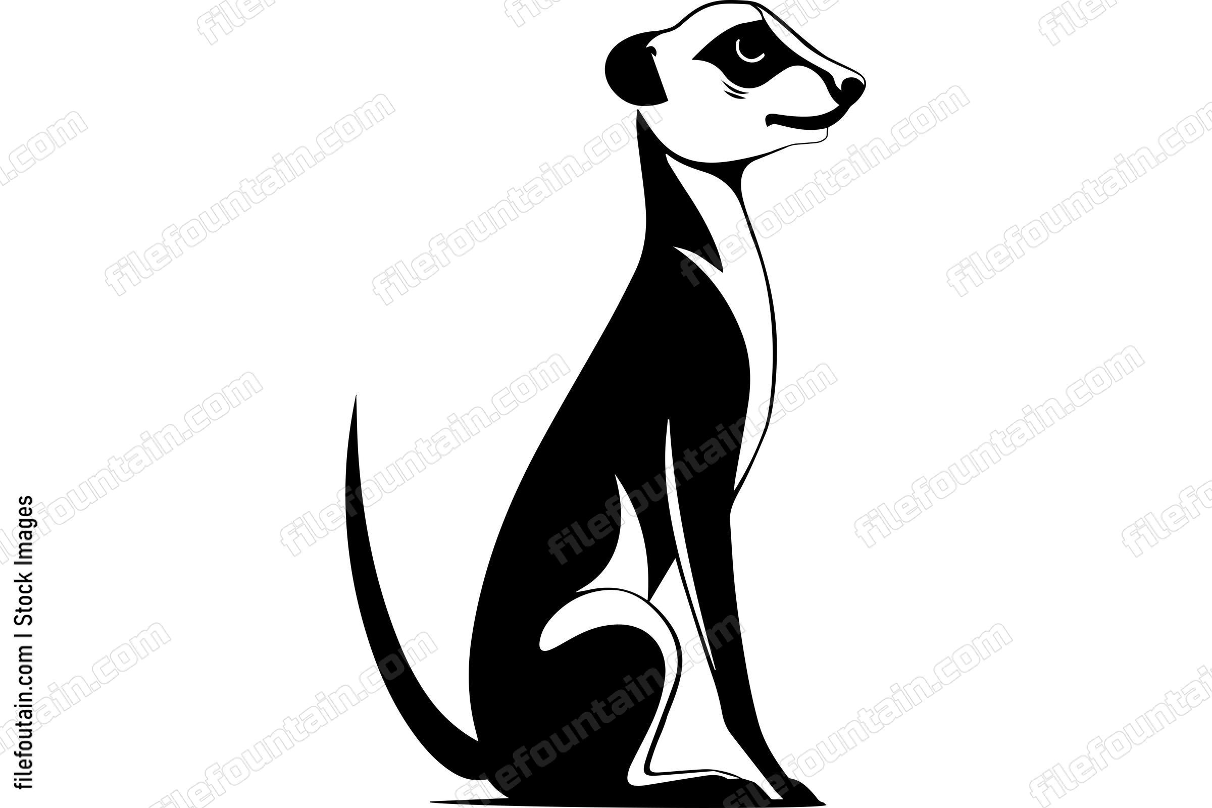 Meerkat