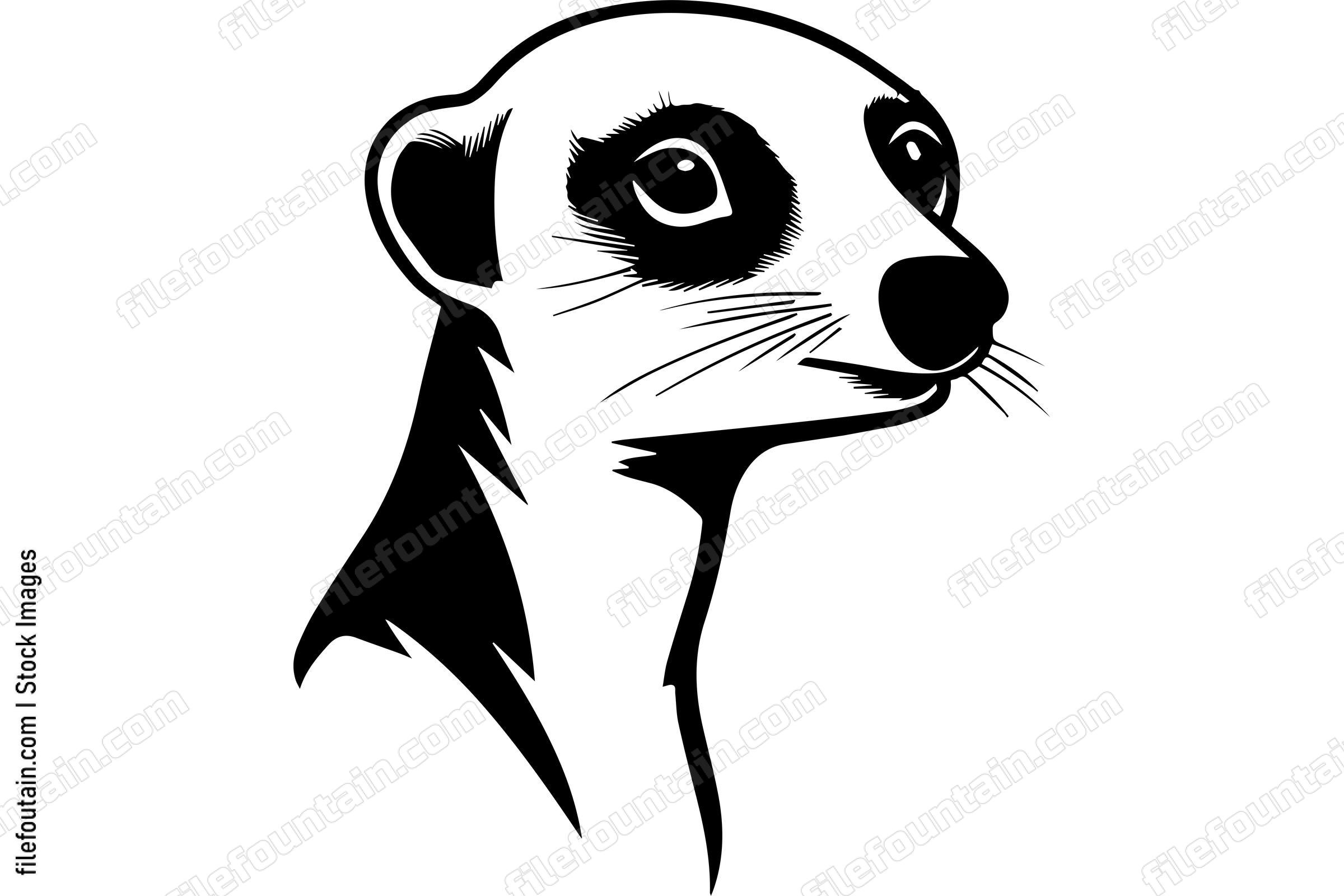 Meerkat
