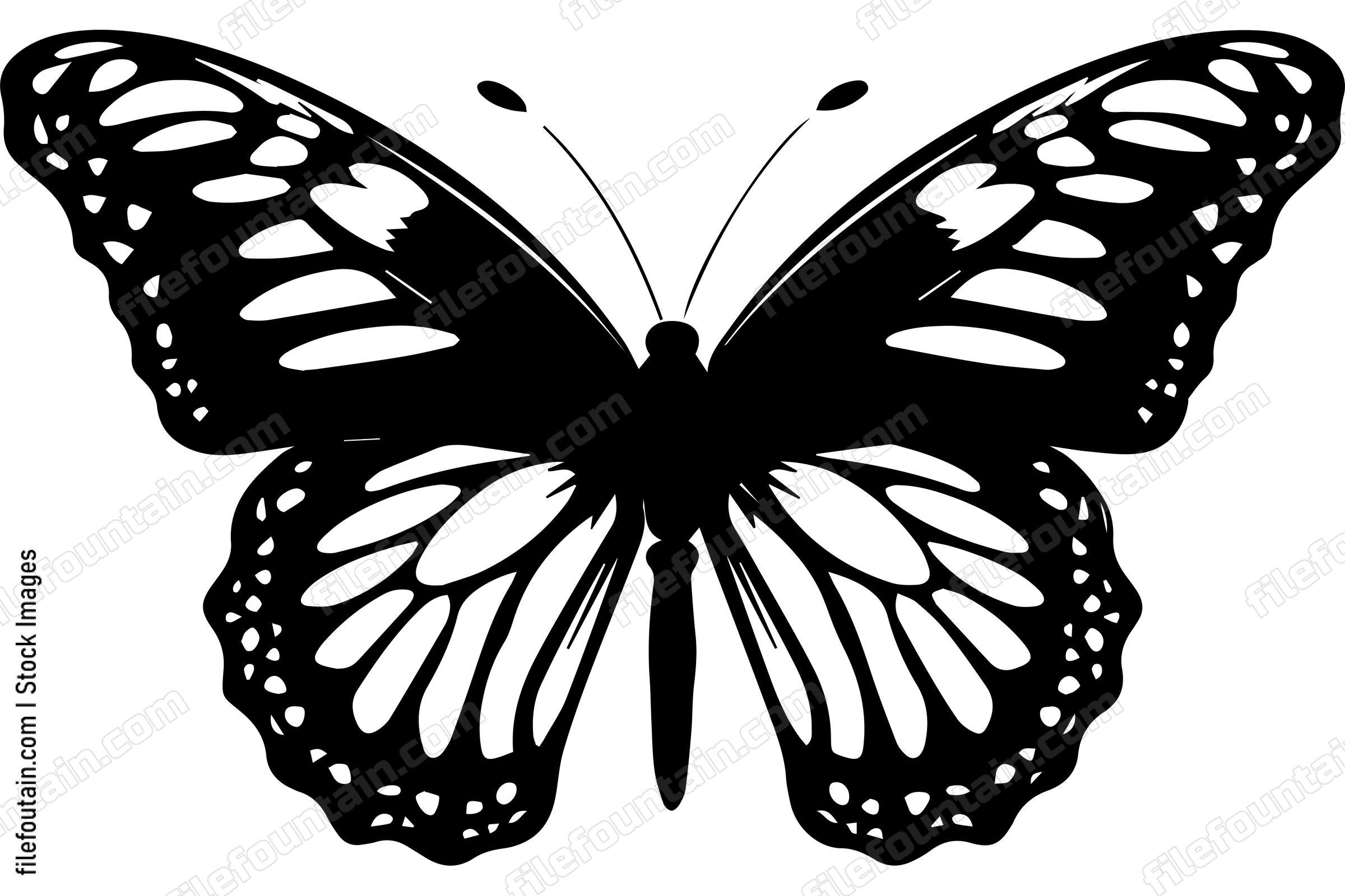 Monarch Butterfly