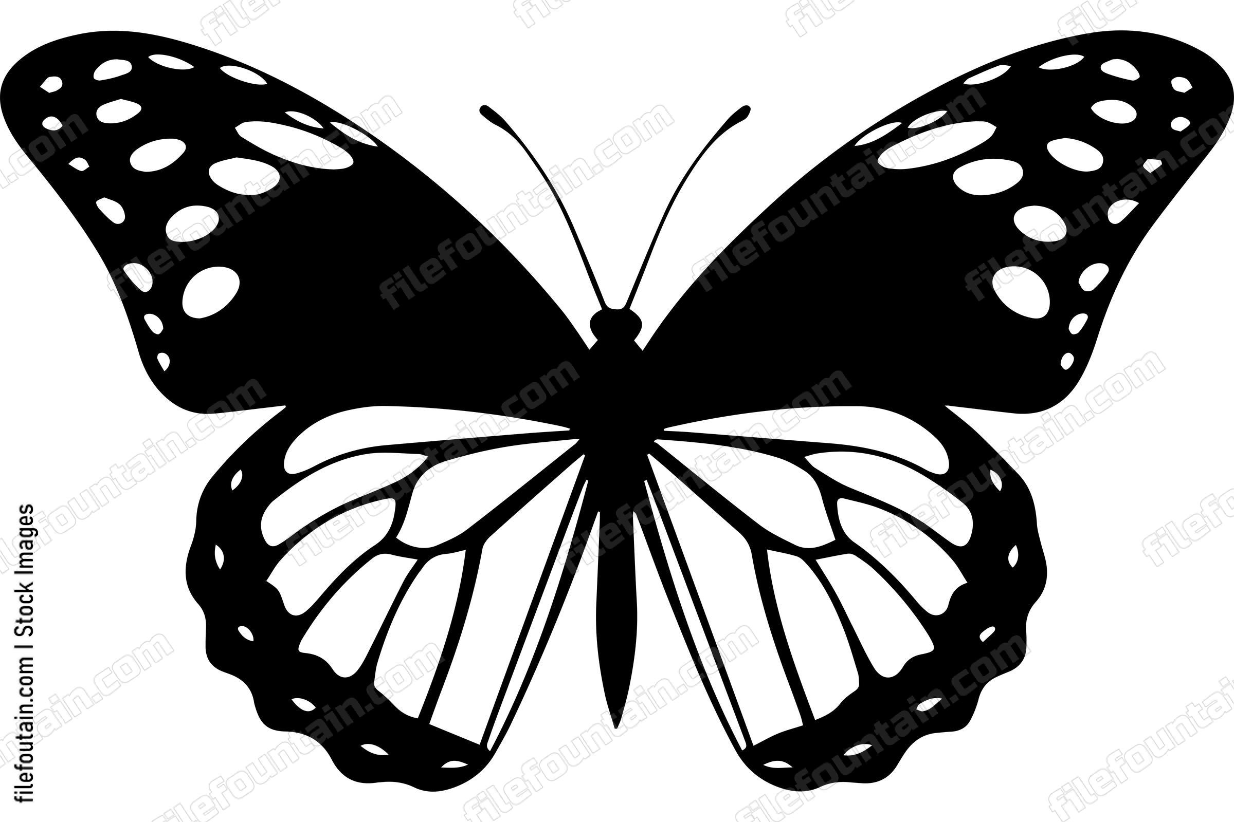 Monarch Butterfly