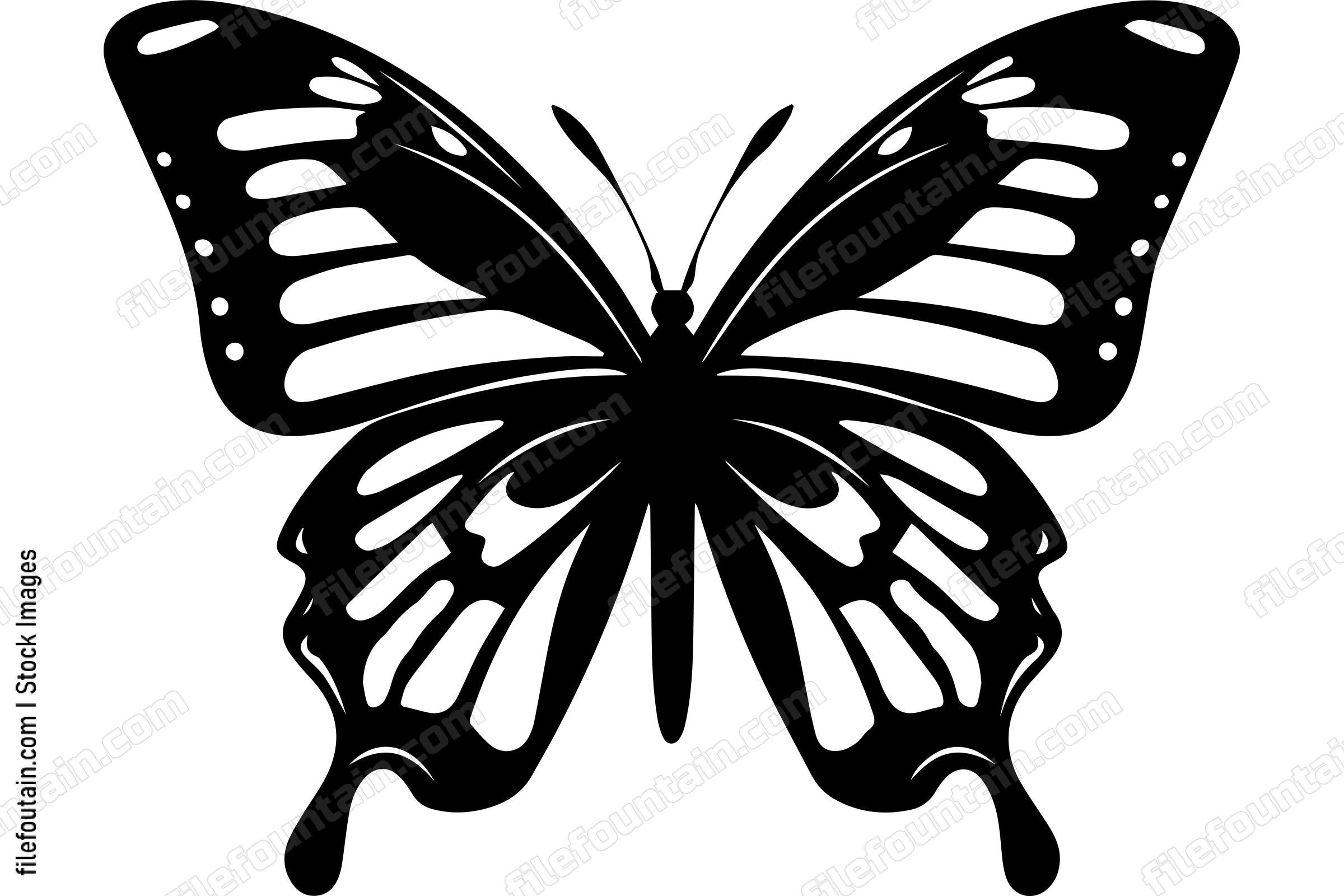 Monarch Butterfly