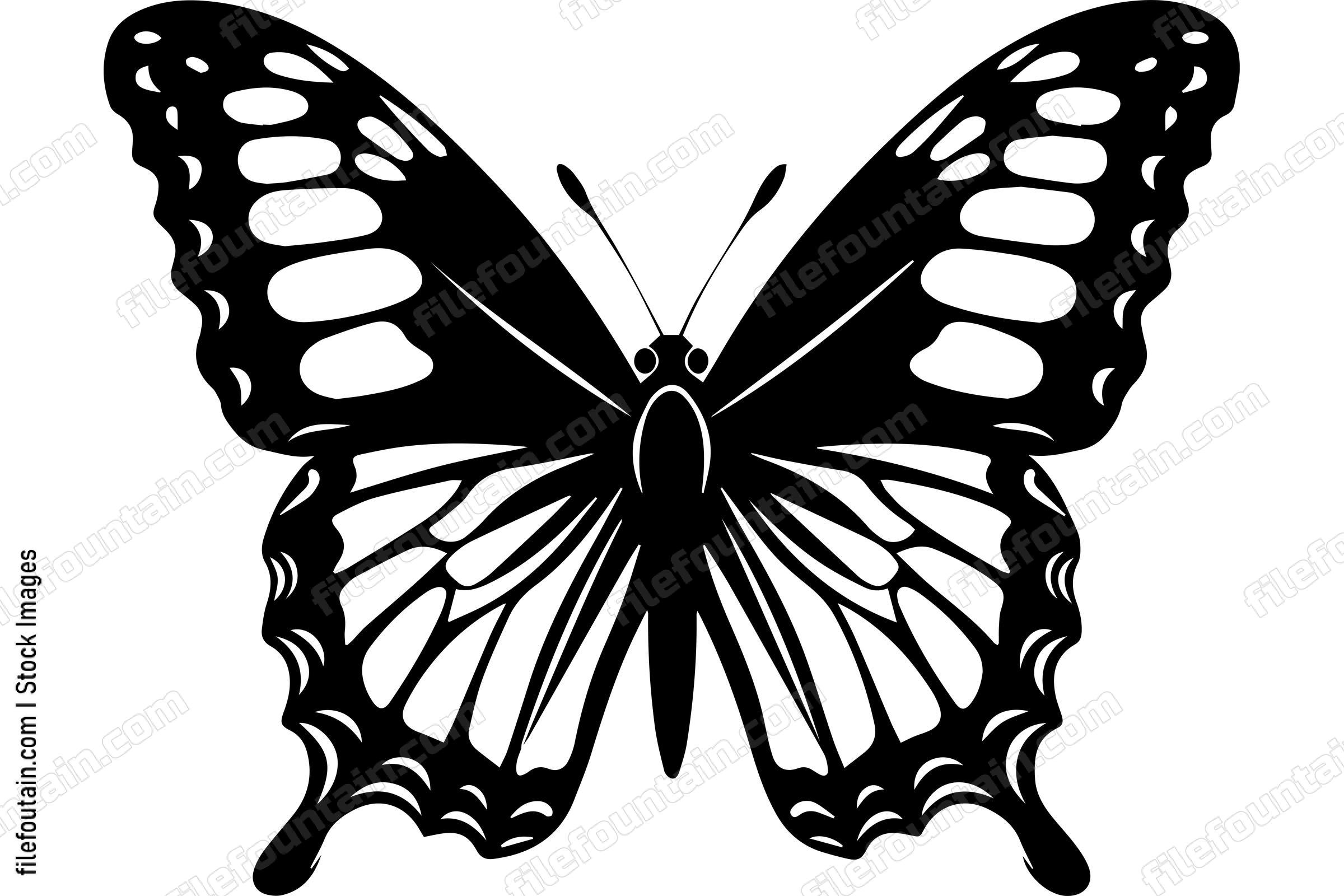 Monarch Butterfly